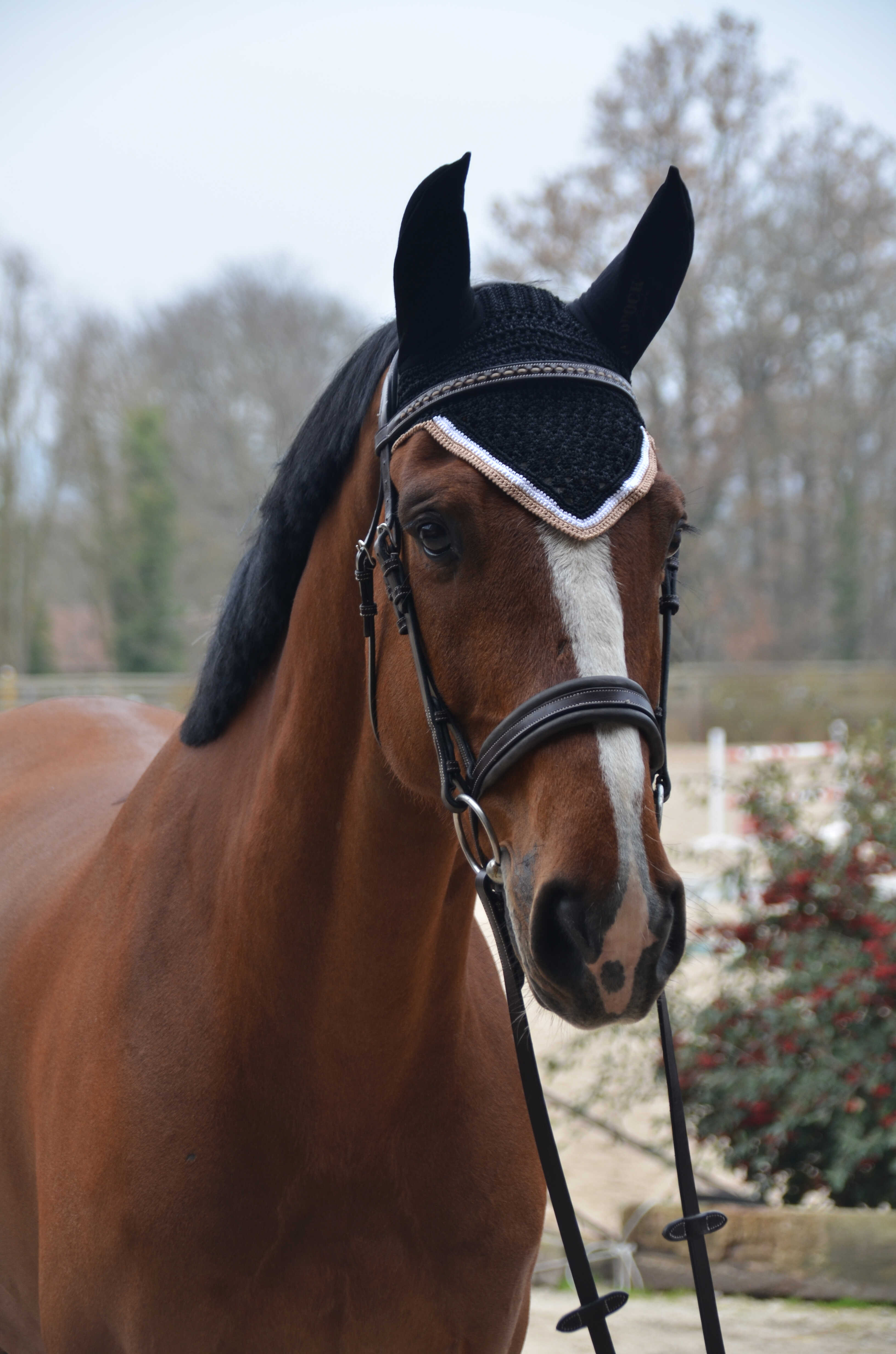 PADDOCK "Origine" fly veil