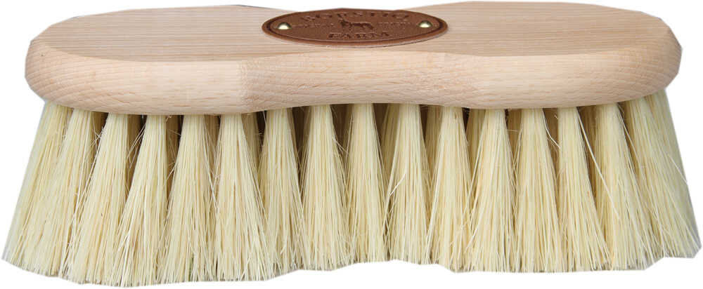 BORSTIQ - Cactus - Infini Brush