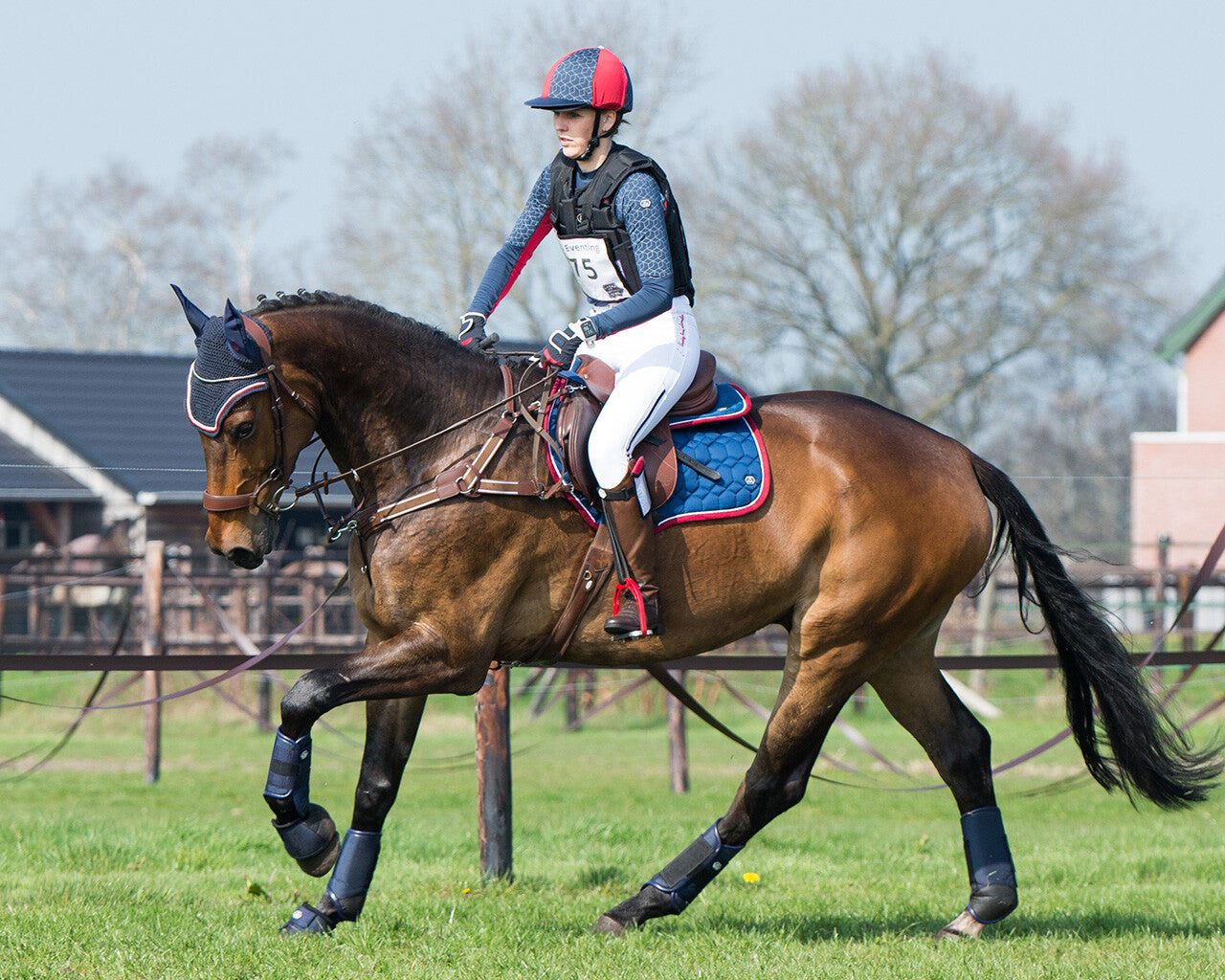 Saddle pad Eldorado