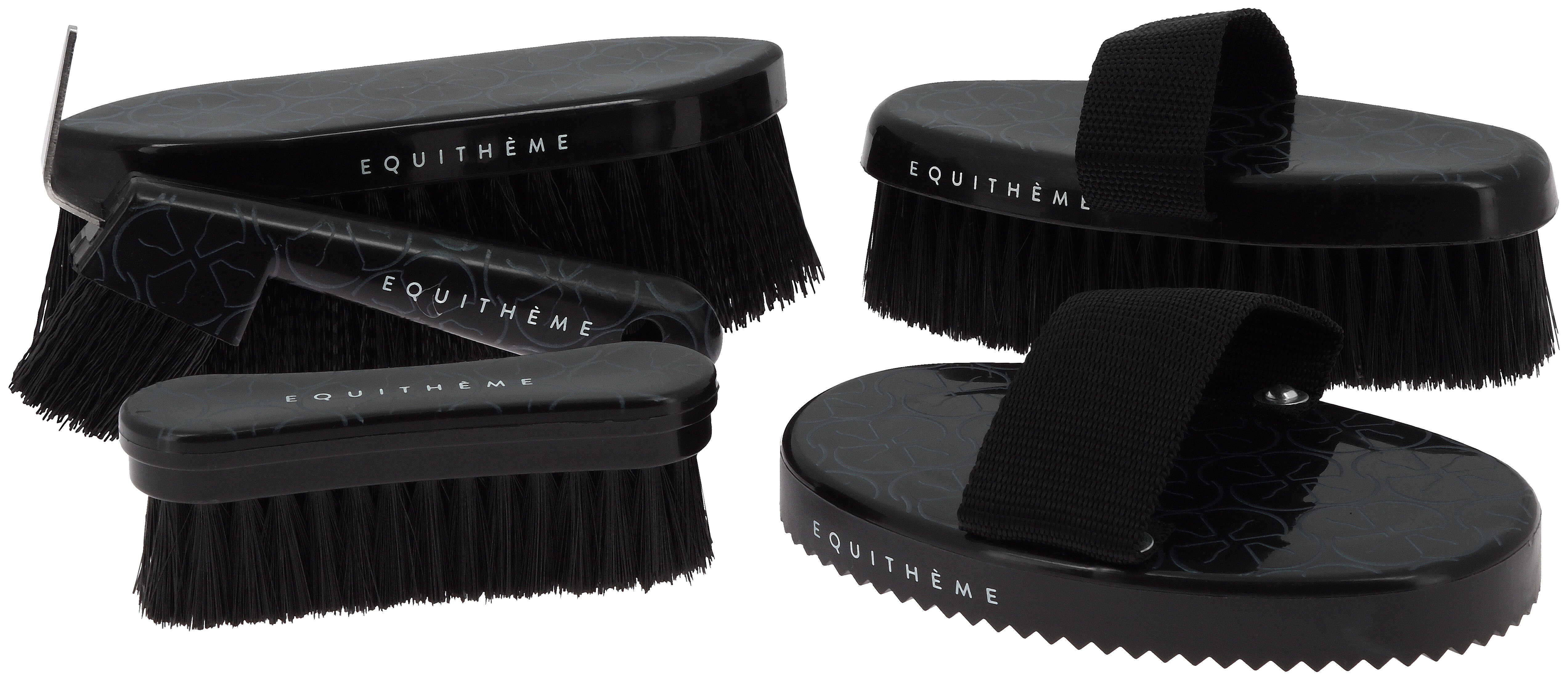 EQUITHÃˆME - Studies - Hoof pick