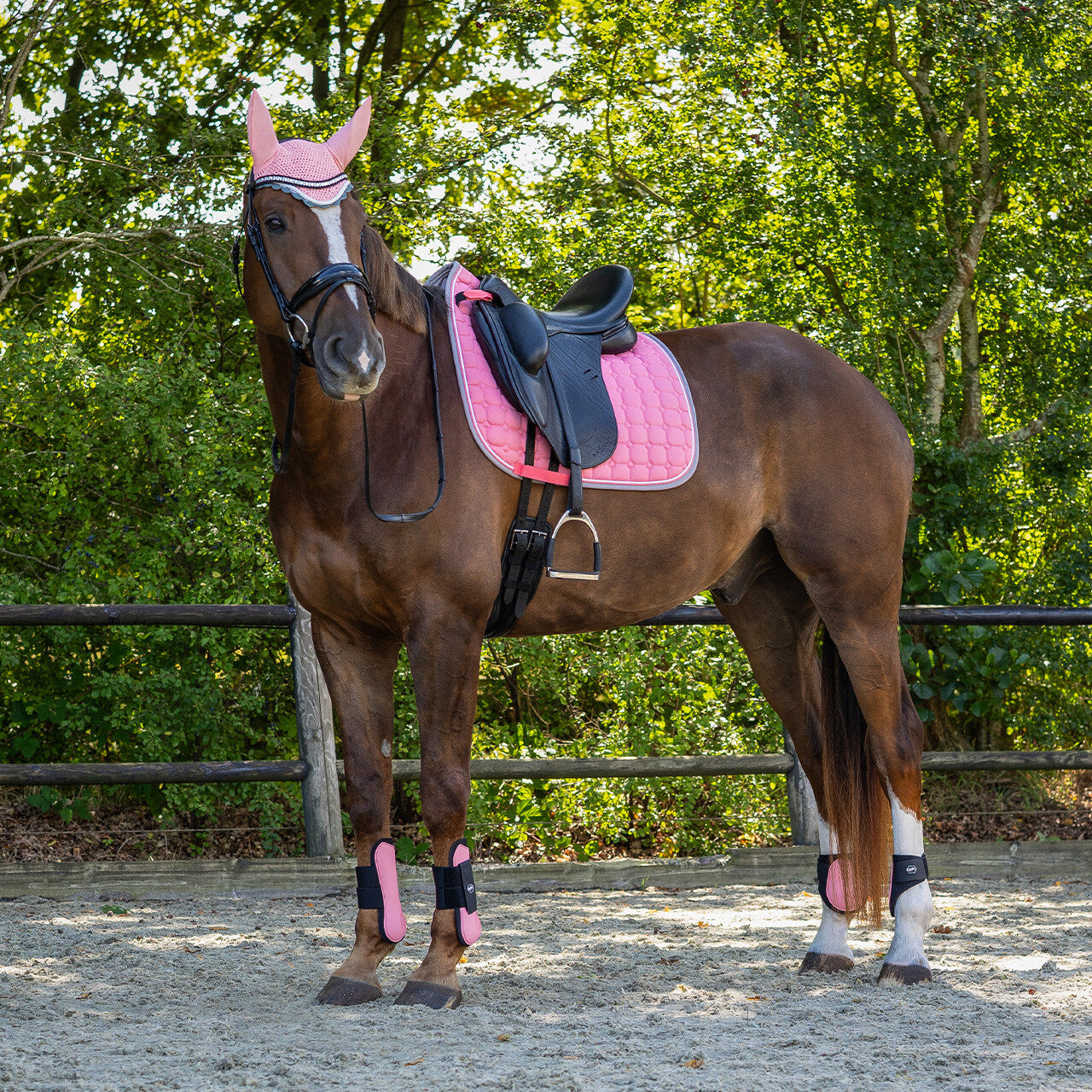 Saddle pad Florence