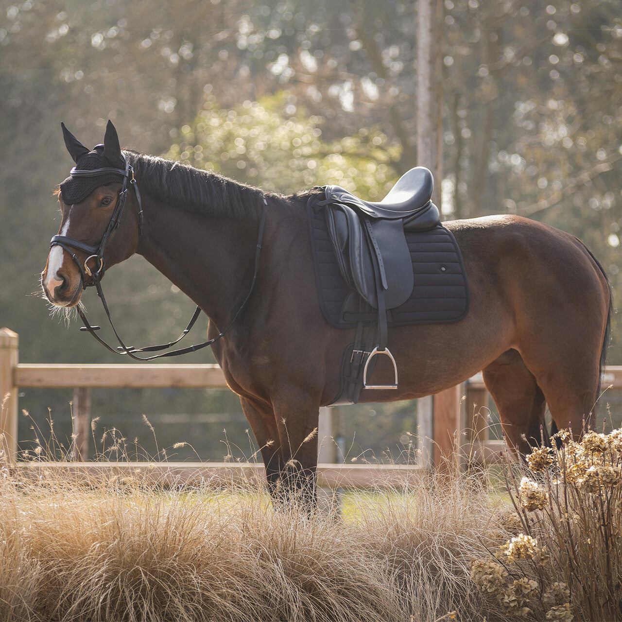 Saddle pad Salerno