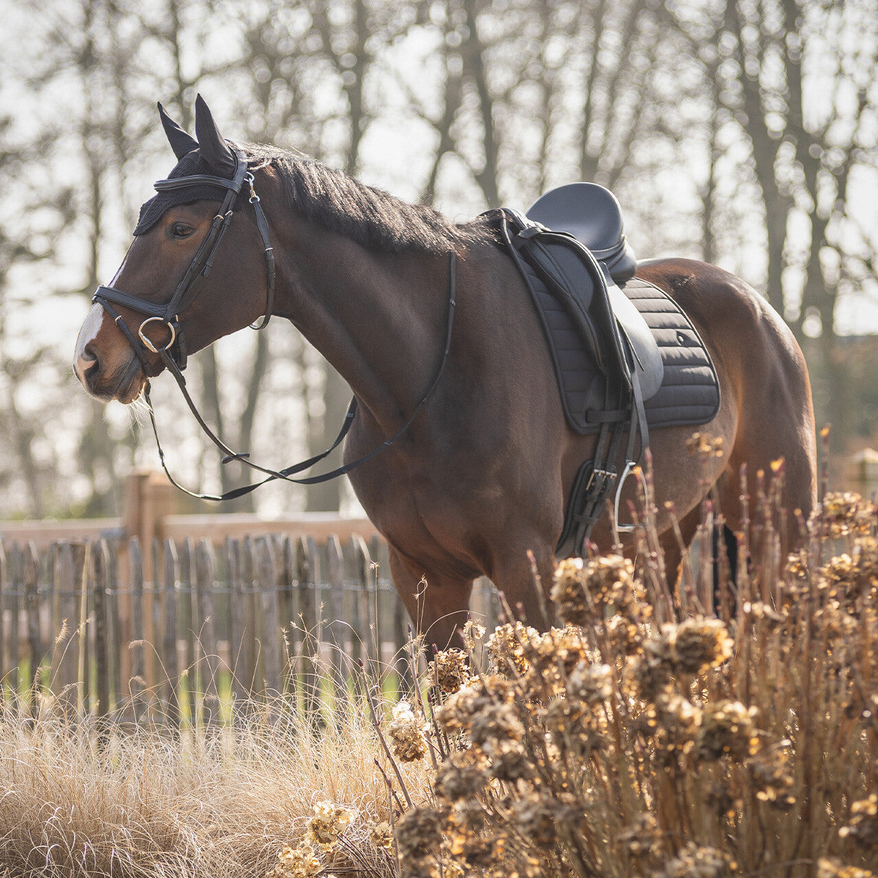 Saddle pad Salerno