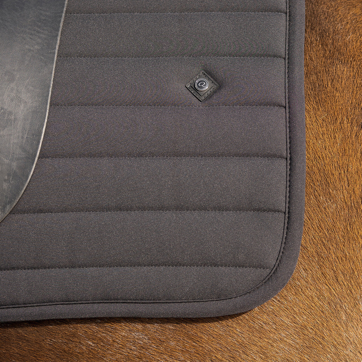 Saddle pad Salerno