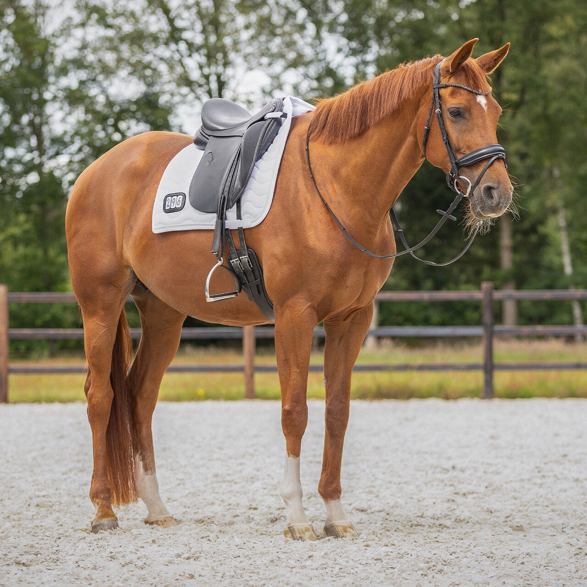 Saddle pad Number