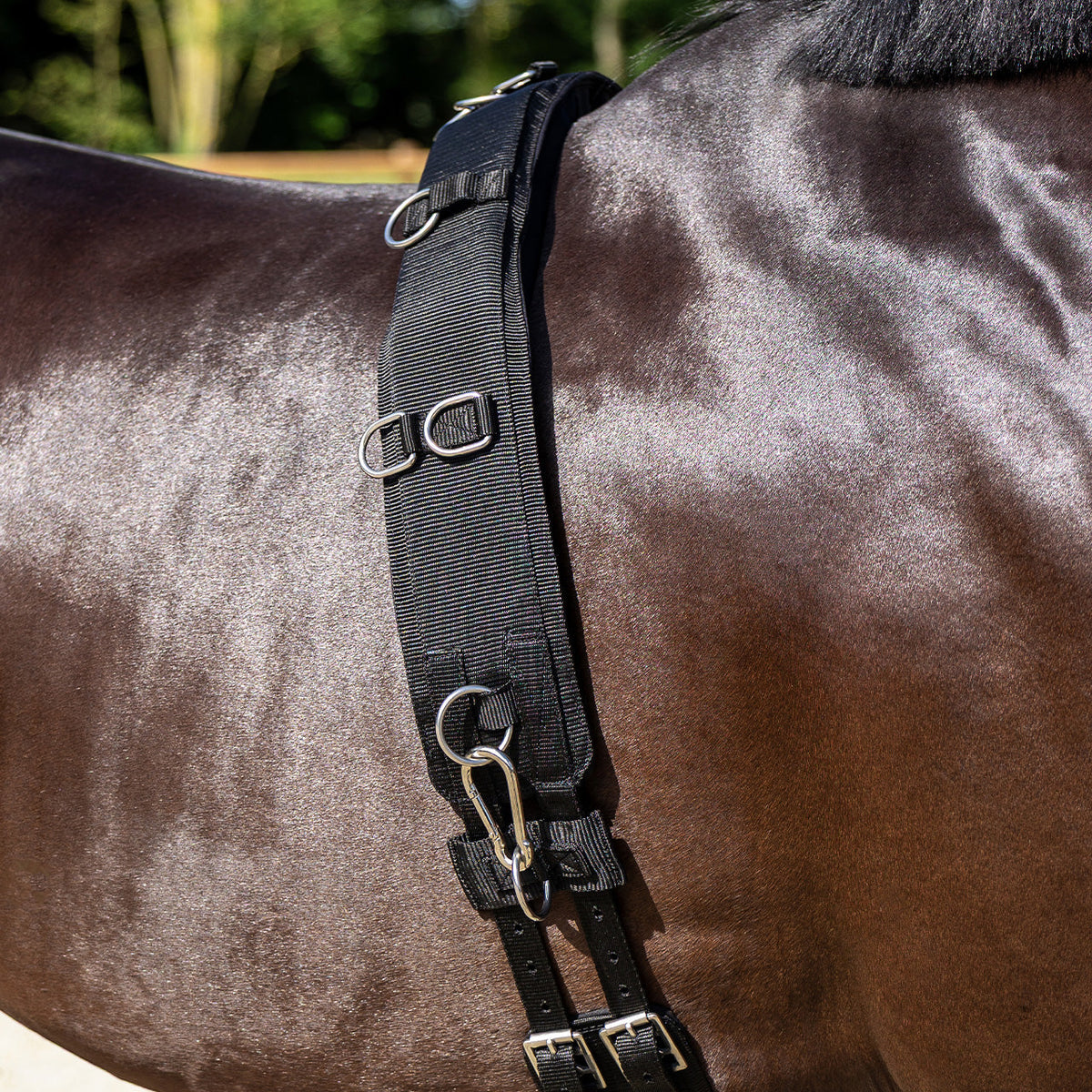 Lunging girth Padded