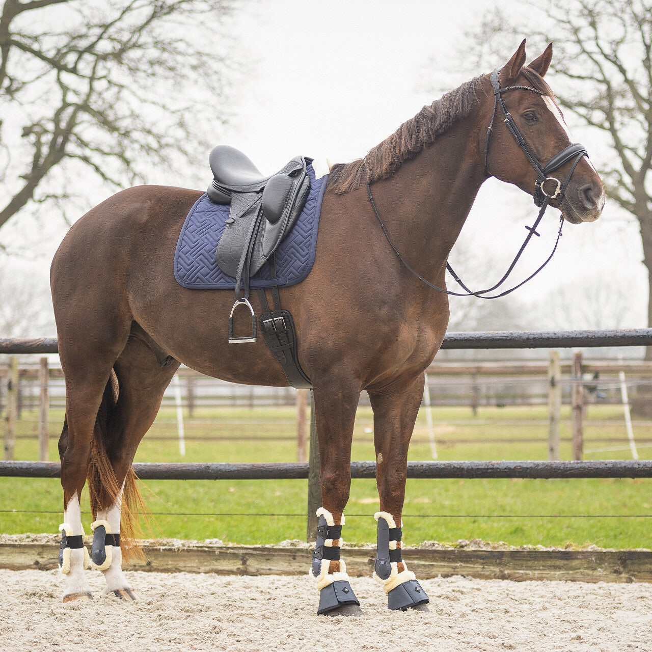 Saddle pad Sensisoft