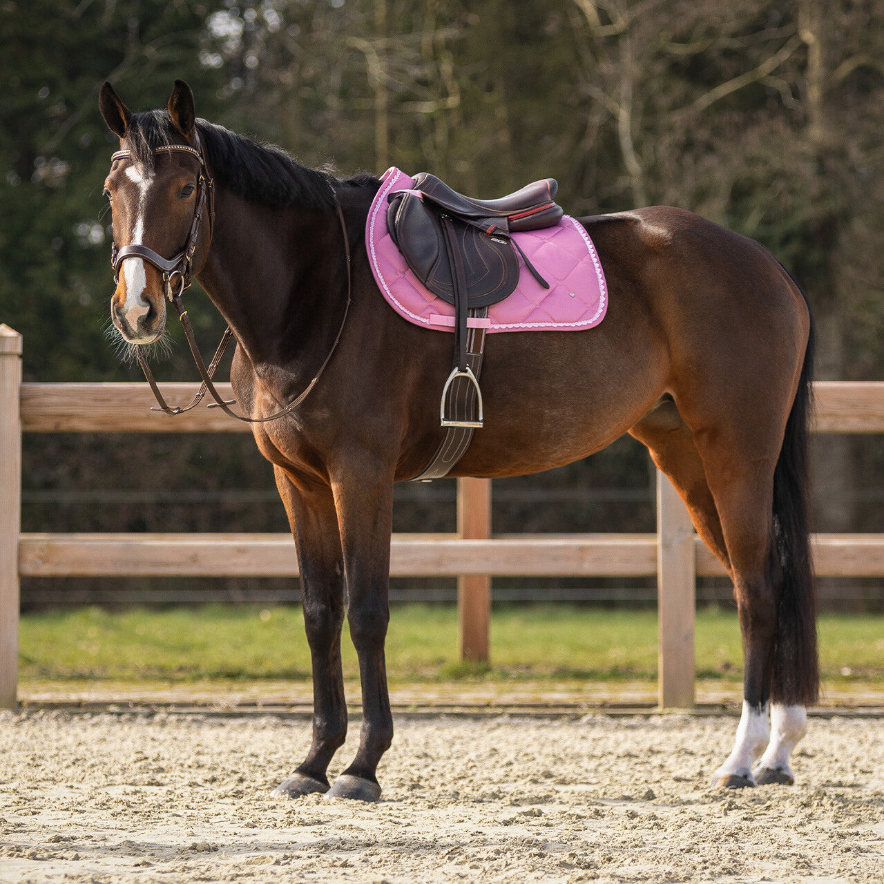 Saddle pad Lyvia