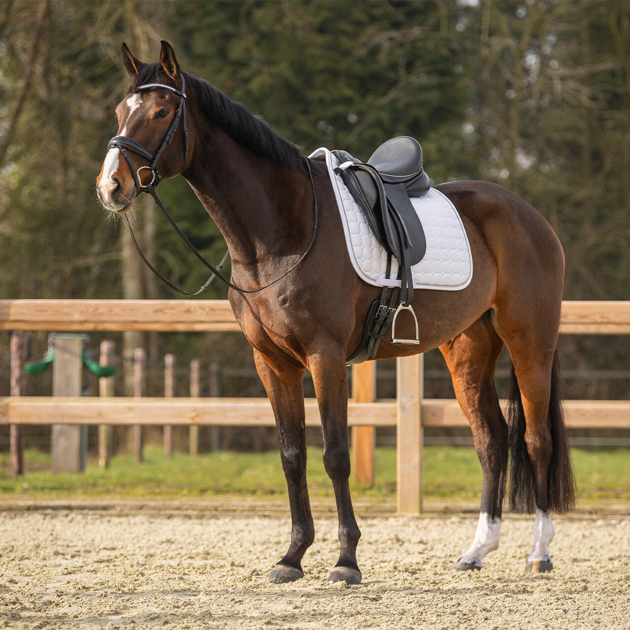 Saddle pad Firenze