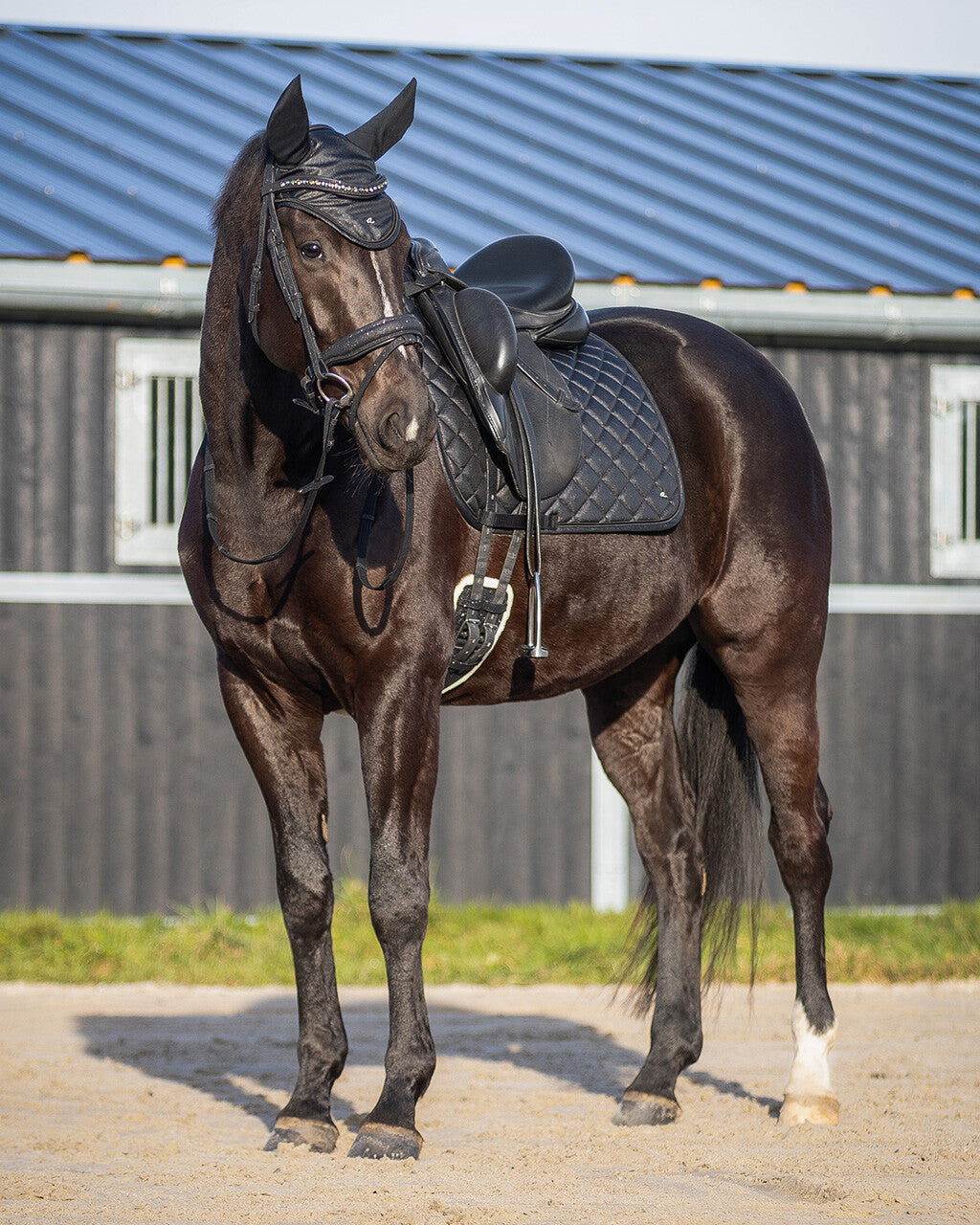 Saddle pad Glitter