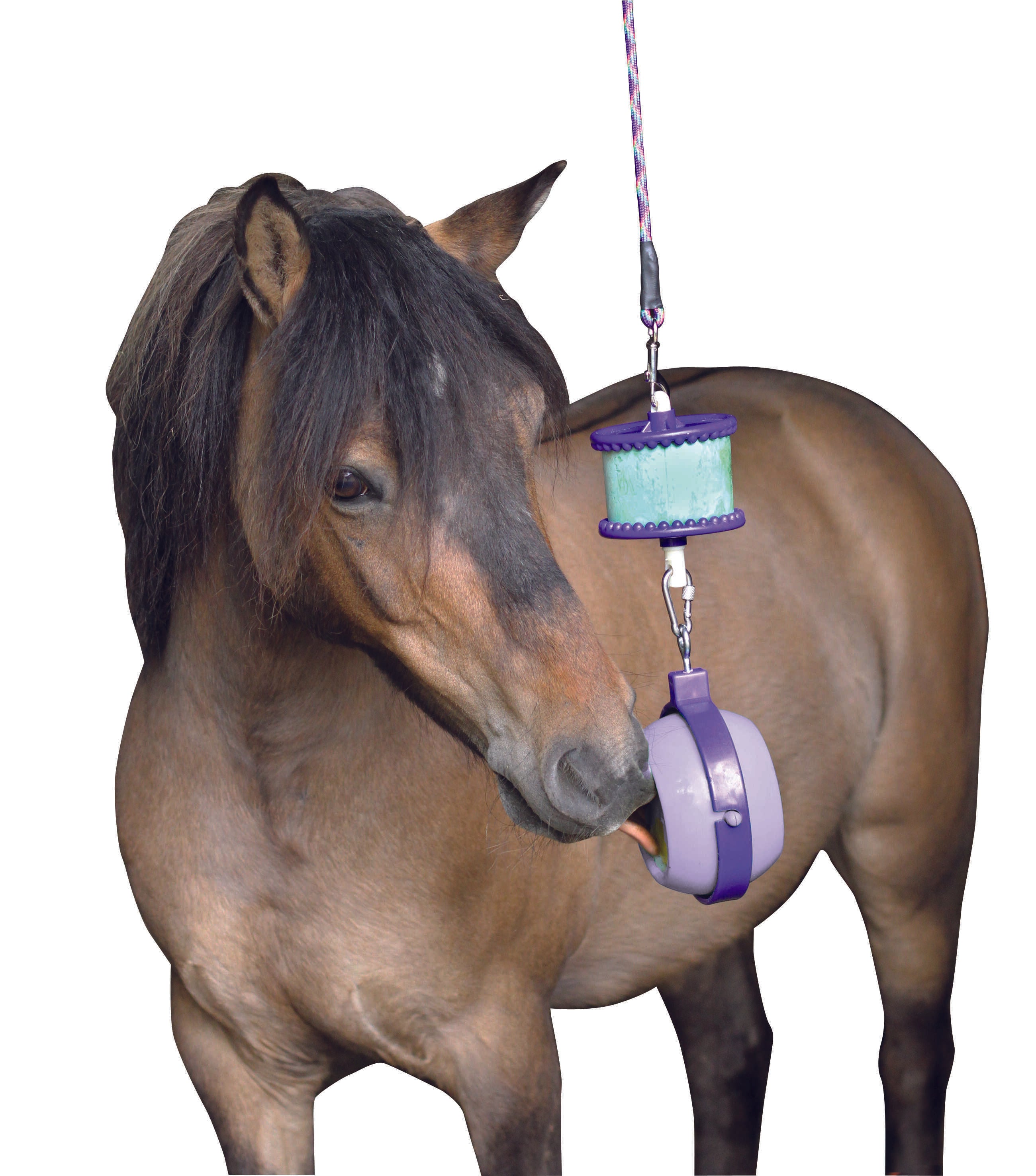 Holders LIKIT - Boredom breaker