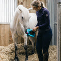 BIZZY HORSE - Bizzy Ball