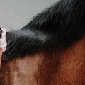 REKOR Detangling Shine Spray - Show Coat