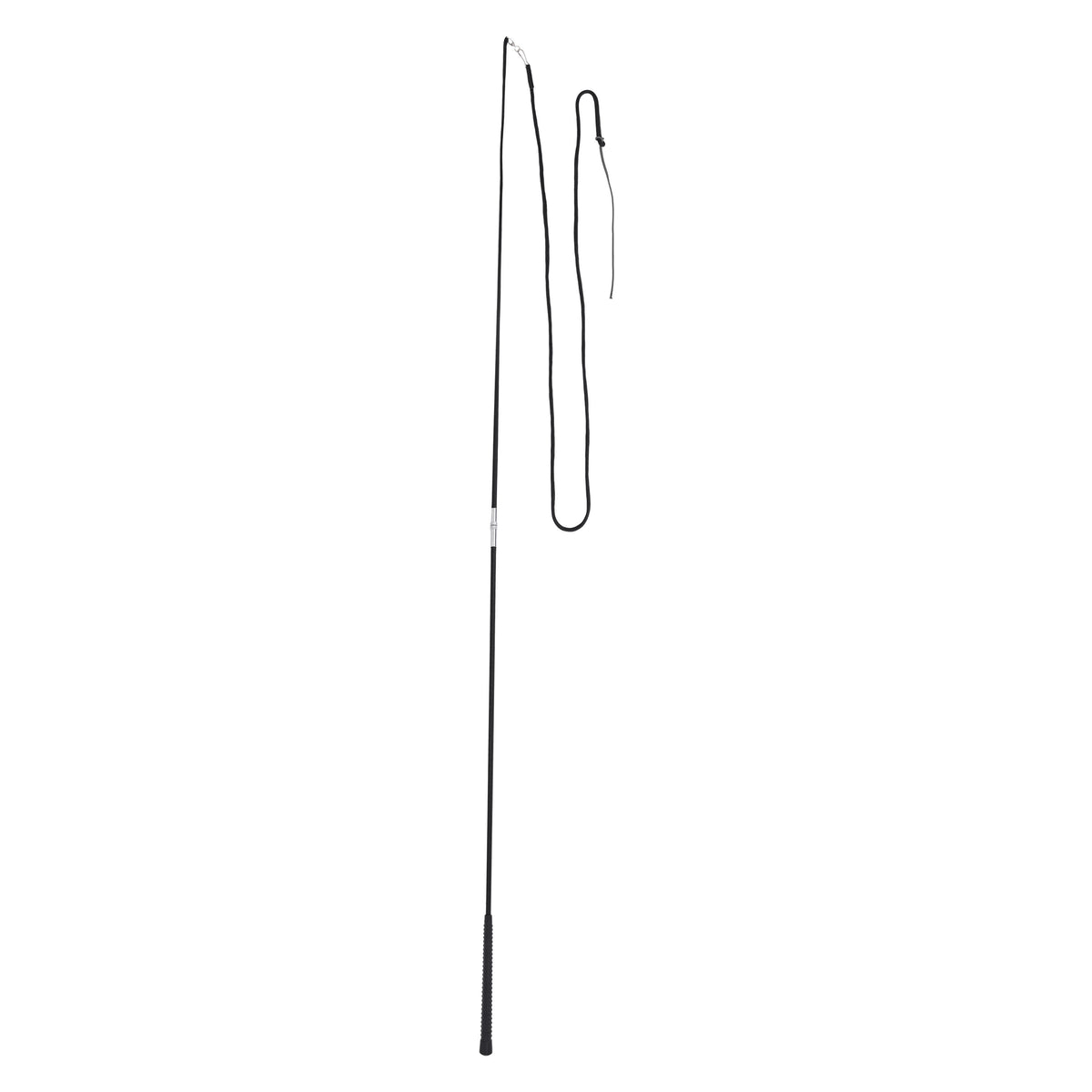 Lunging whip modular IRH