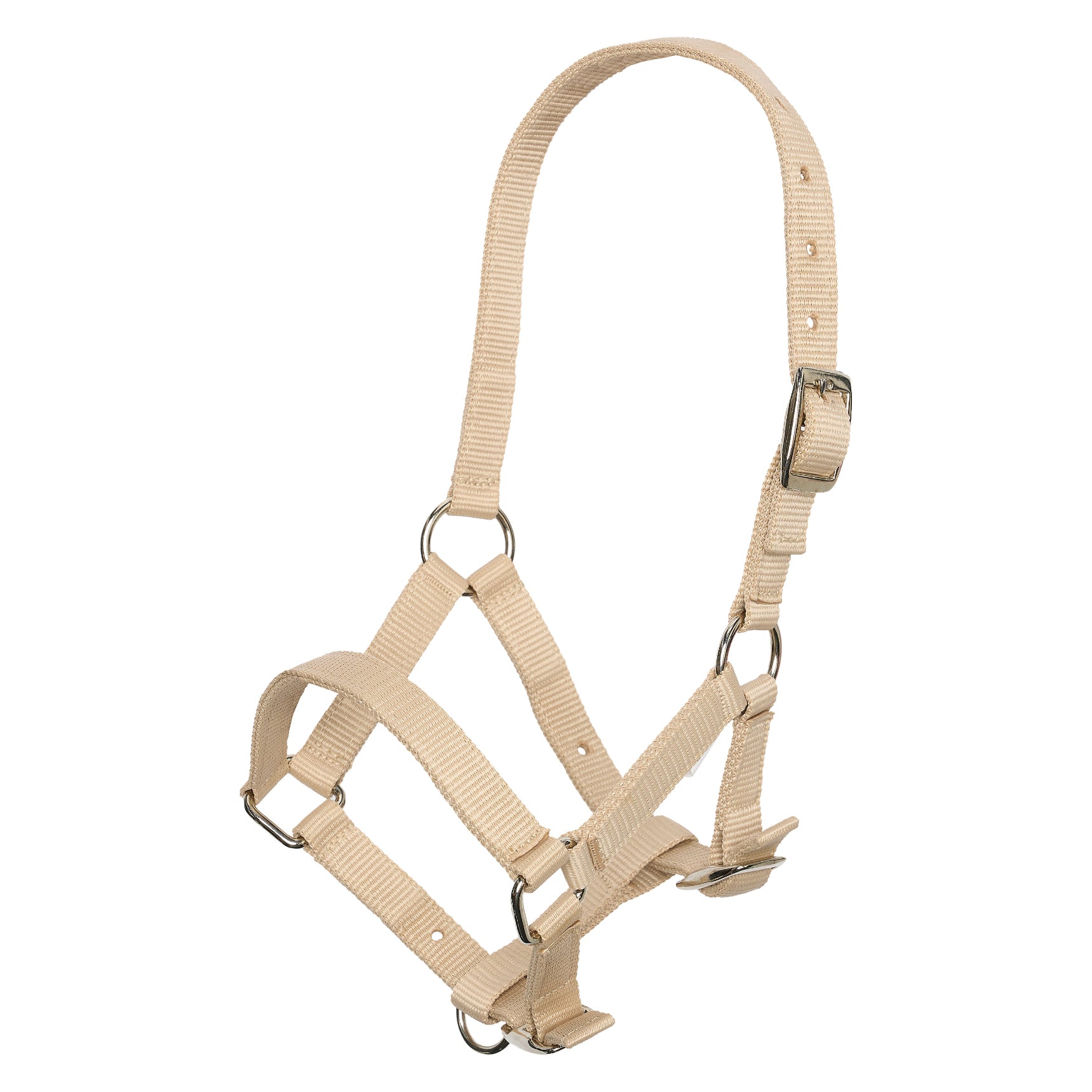 Headcollar foal IRH