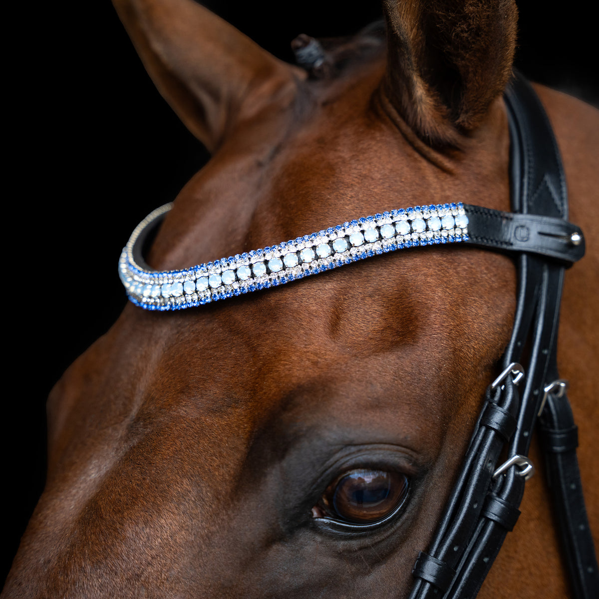 Browband IRHMaxima