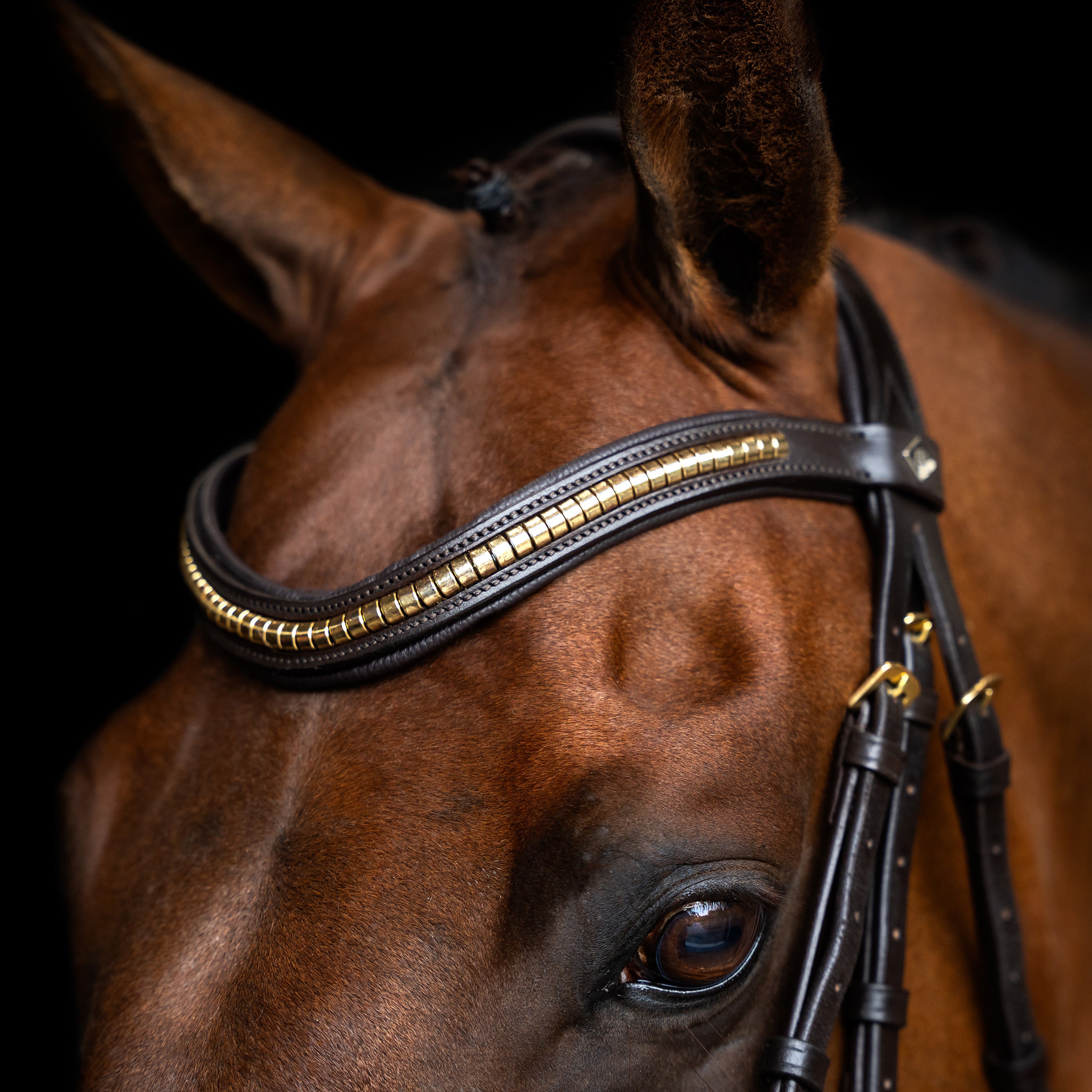 Bridle Mexican IRH