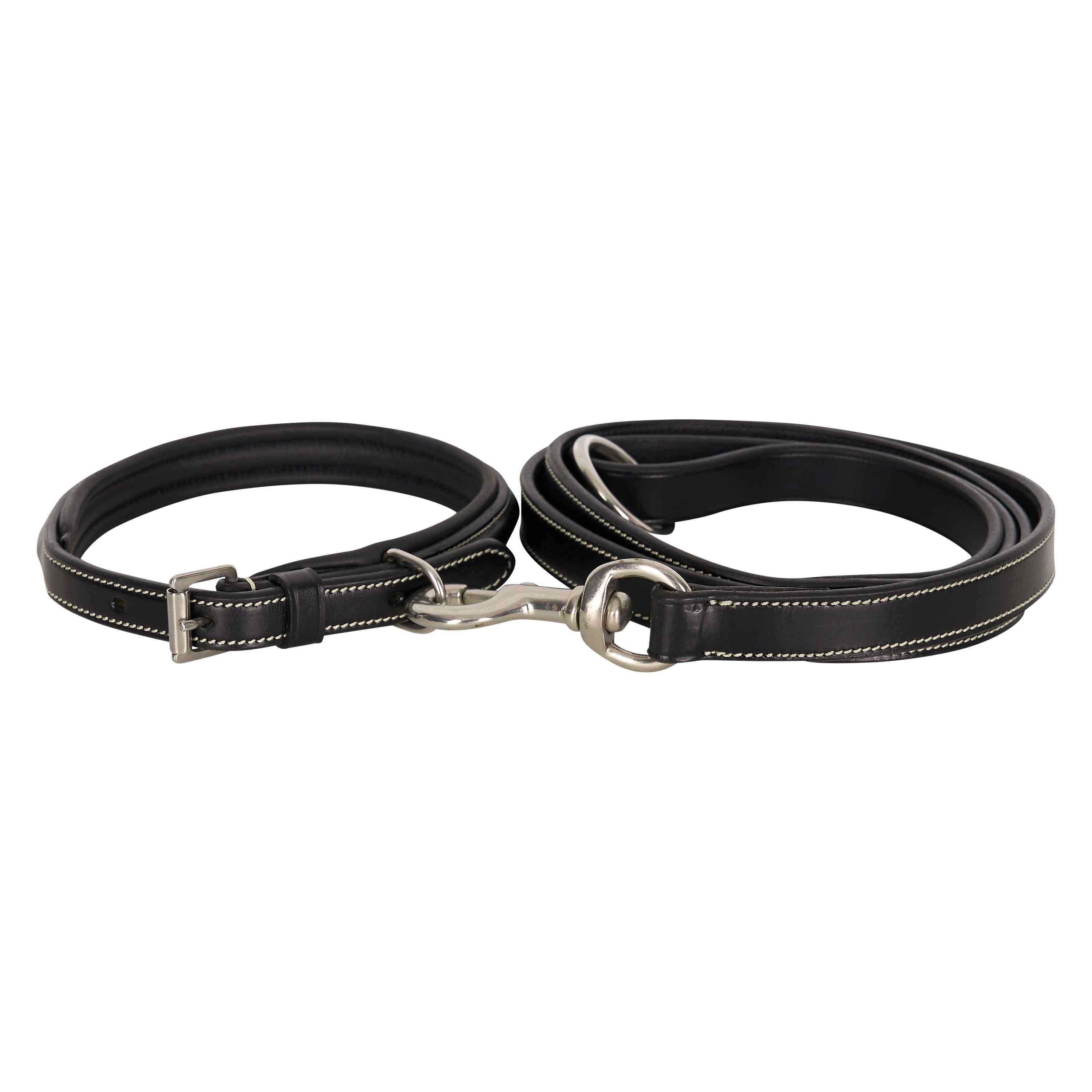 Dog collar HVPLegacy