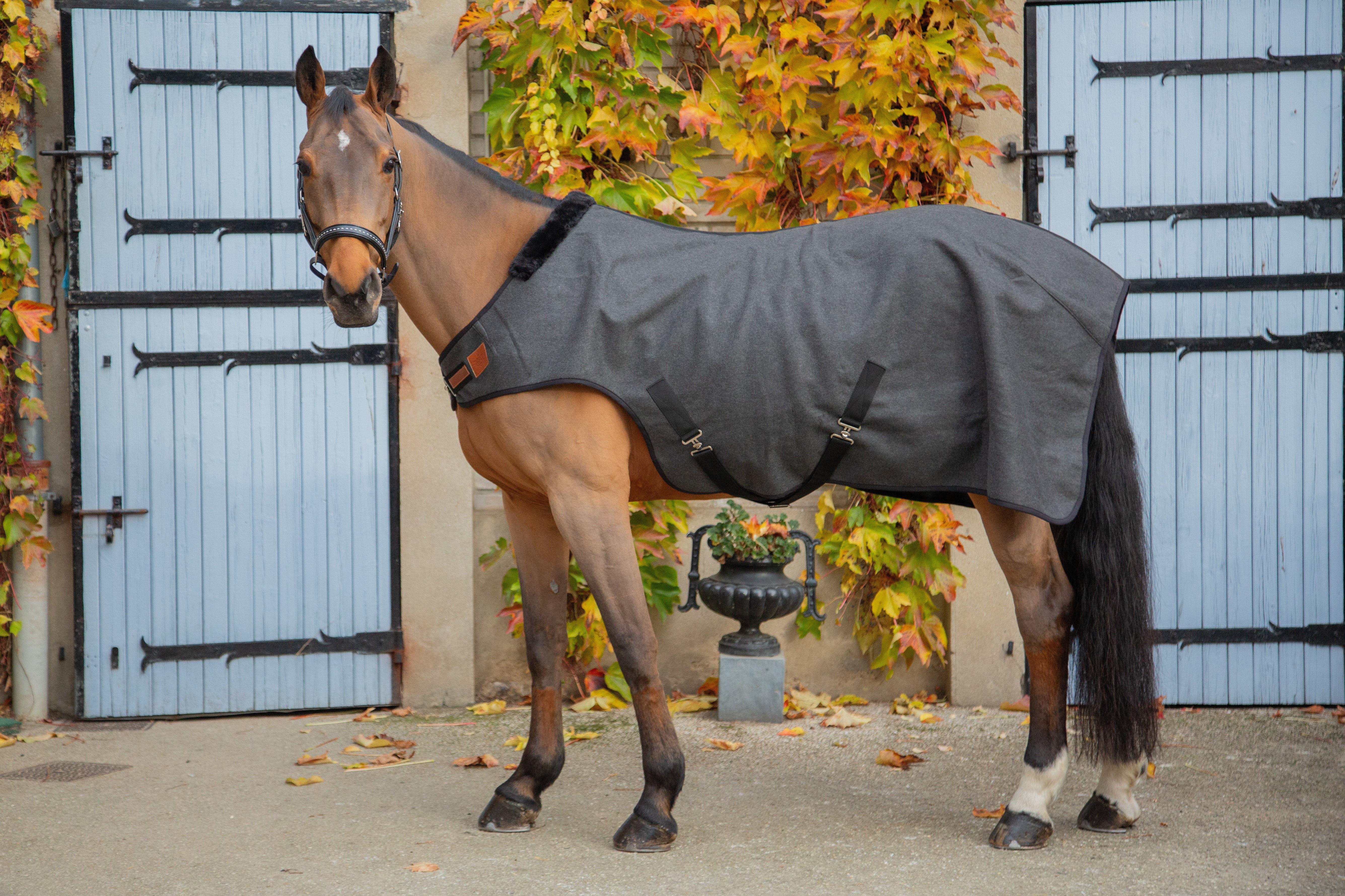 PADDOCK "Woolt" Walker rug
