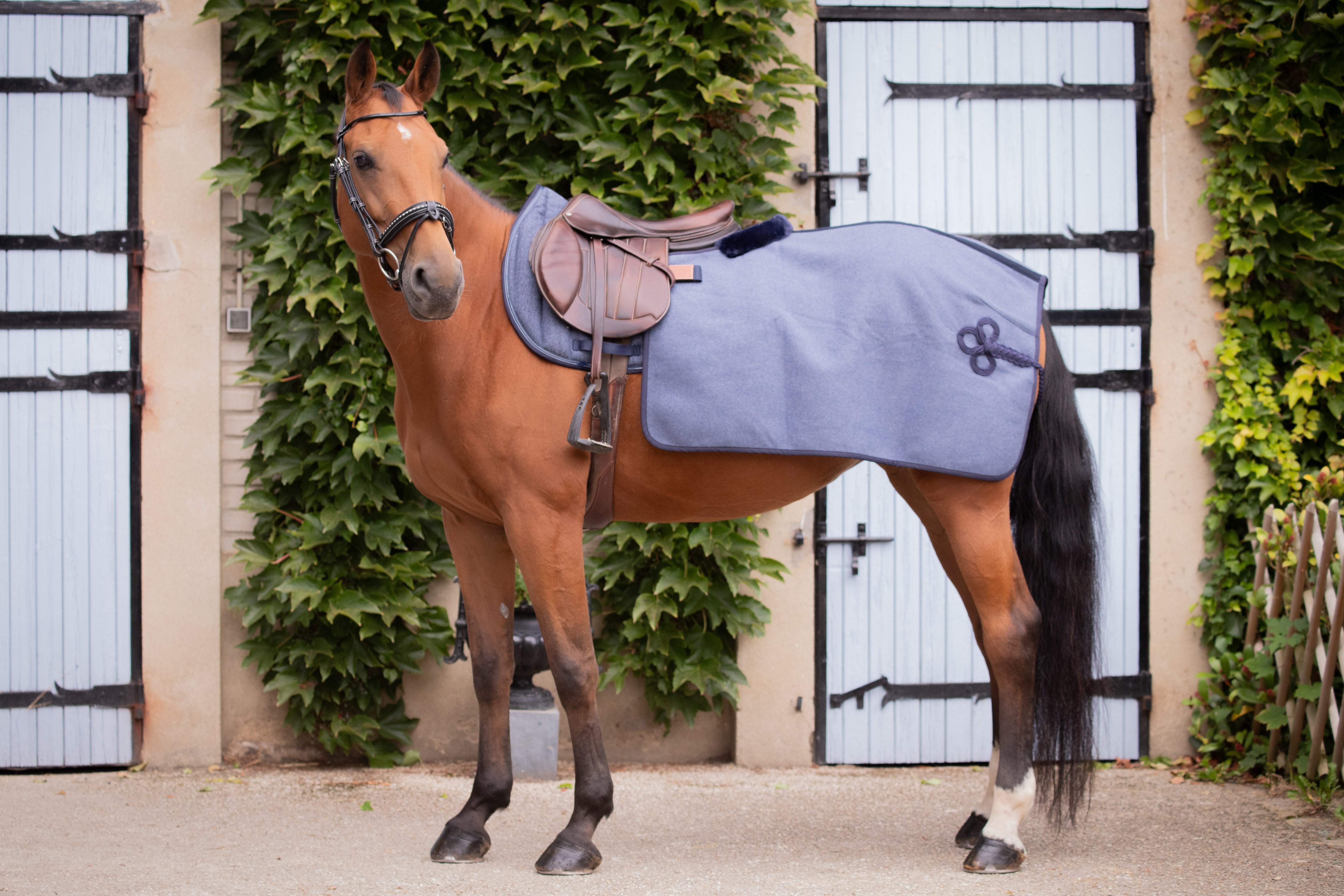 PADDOCK Wooltouch Quarter Exercice sheet