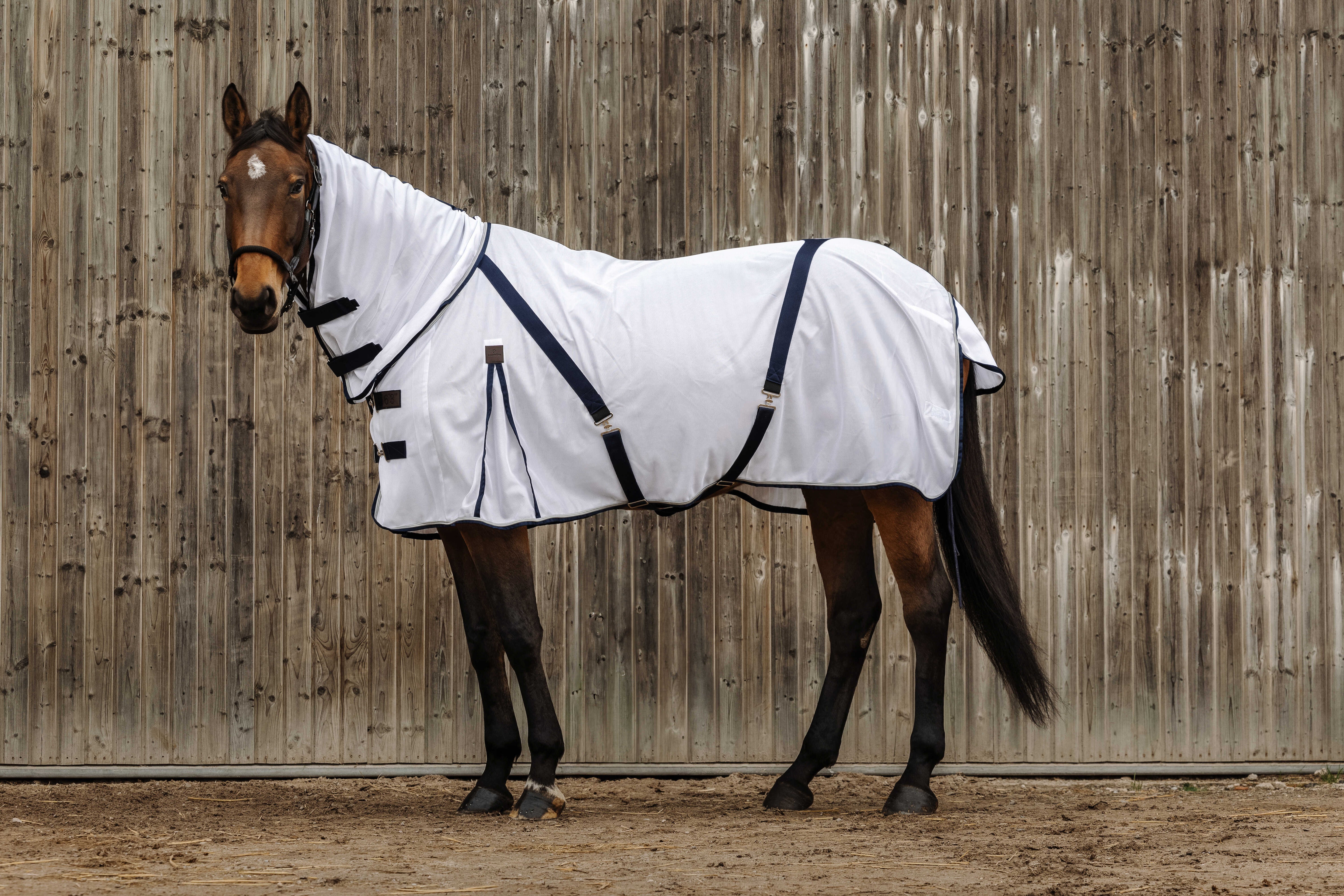 EQUITH ME - Mesh combo - Anti-Insect Sheet