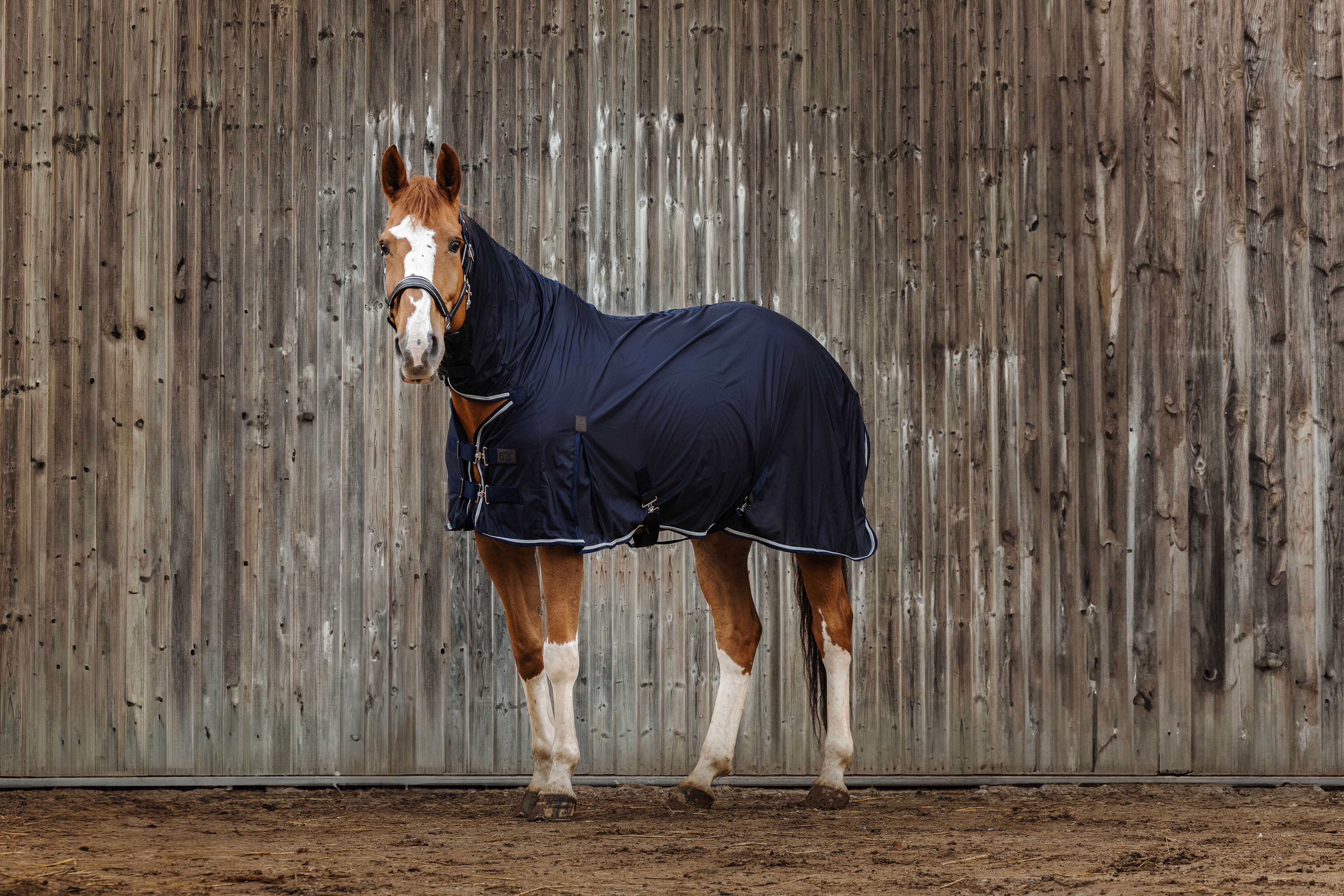 EQUITH ME - Micro Mesh - Combo Sheet