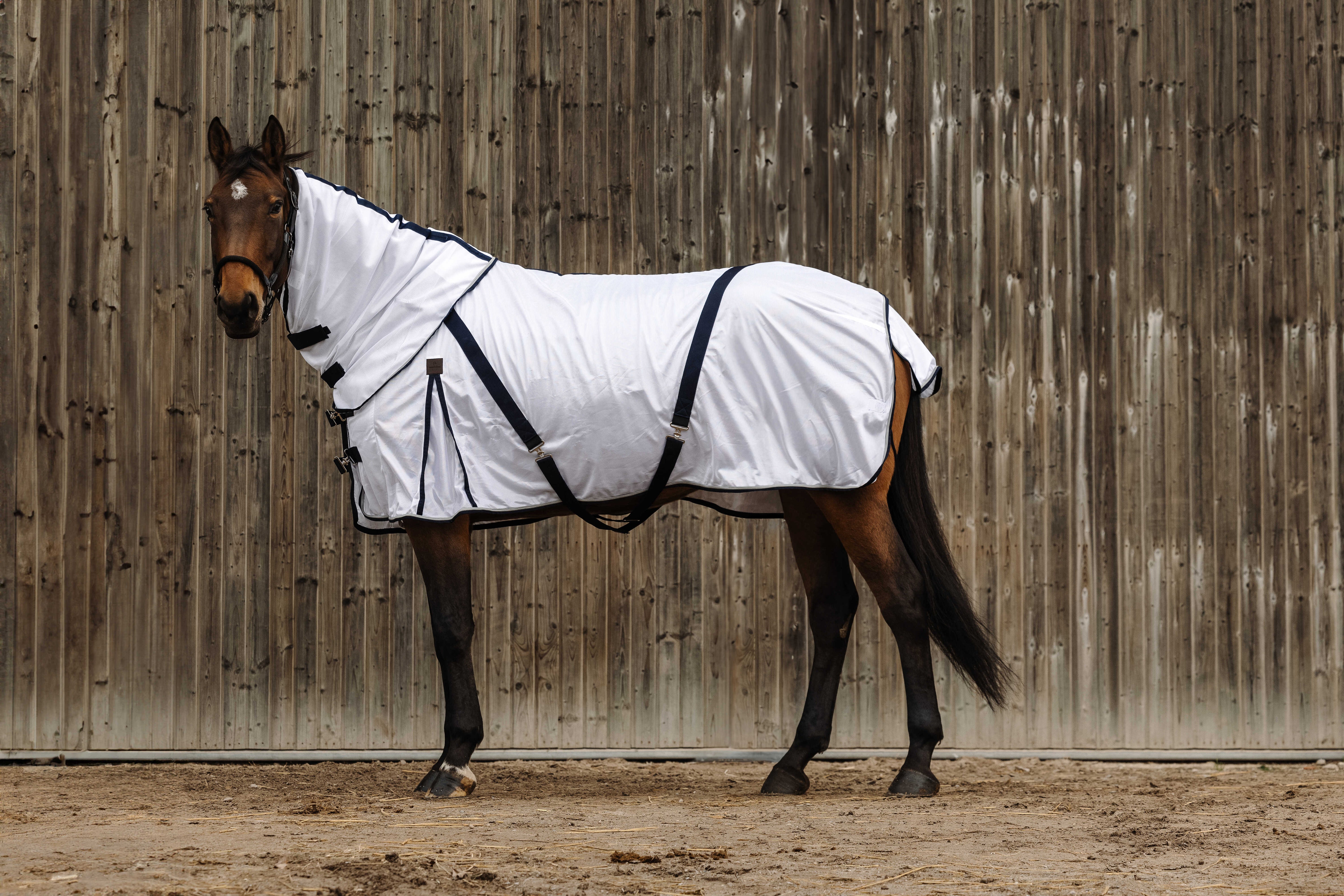 EQUITH ME - Mesh - Neck Cover