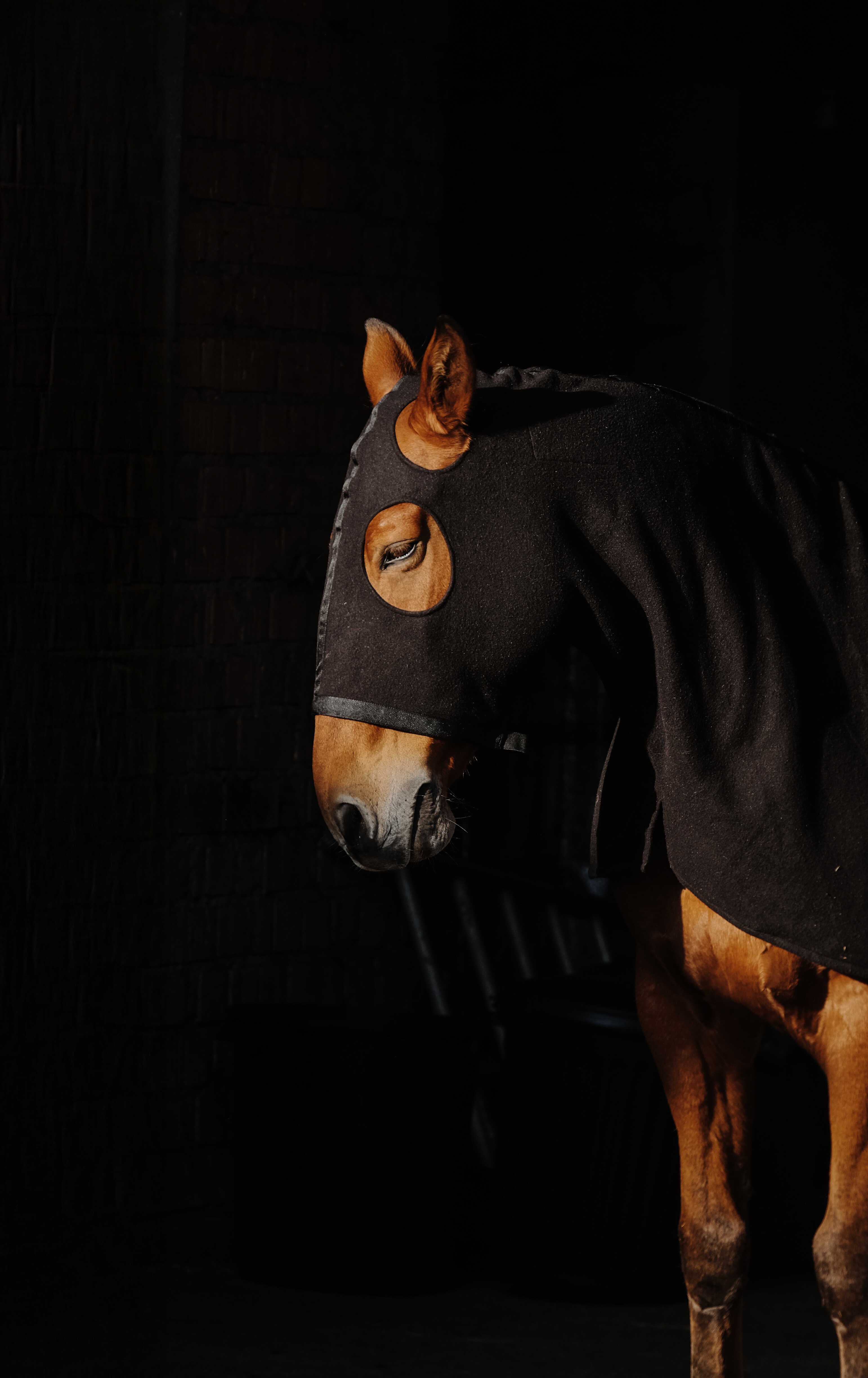 EQUITH ME - Fleece - Full Neck Protection