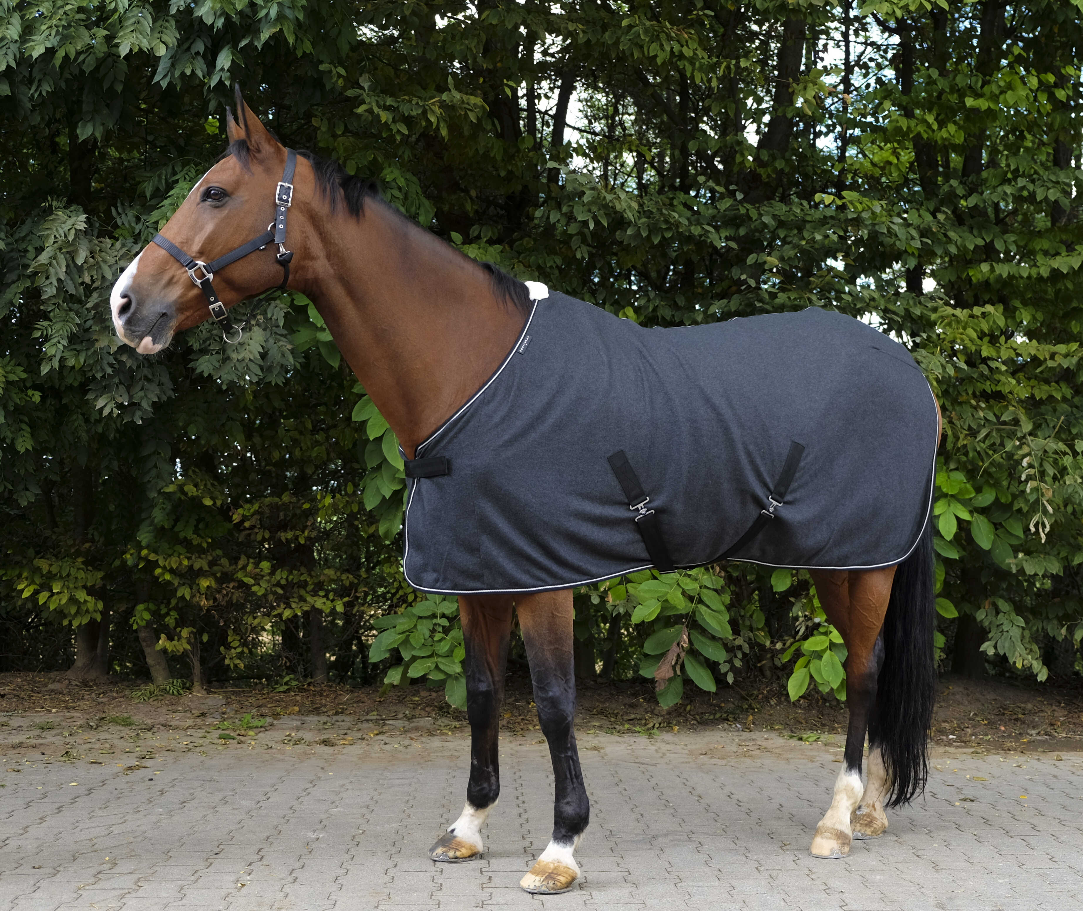 EQUITH ME - Chin  - Polar Fleece Sheet