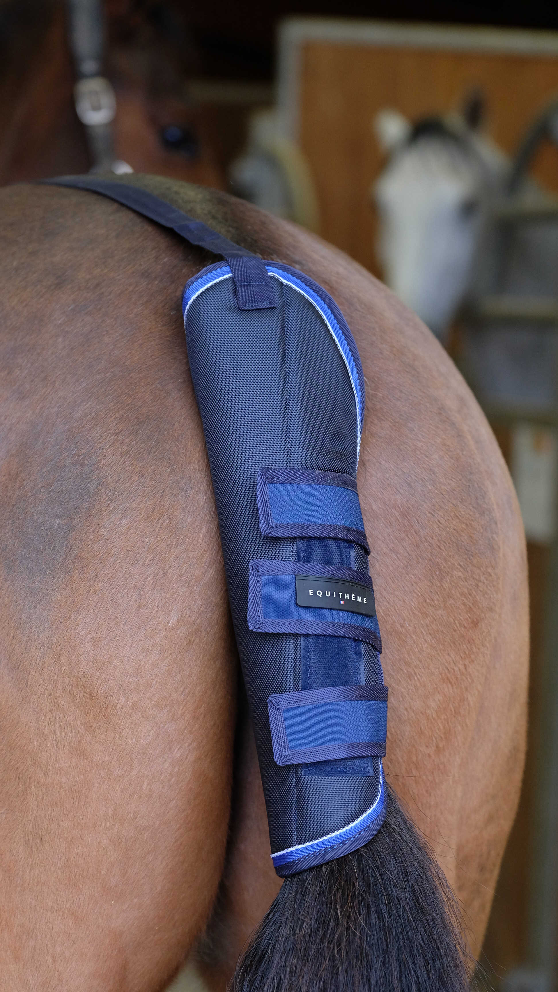 EQUITHEME - TYREX 1680D - Tail Guard