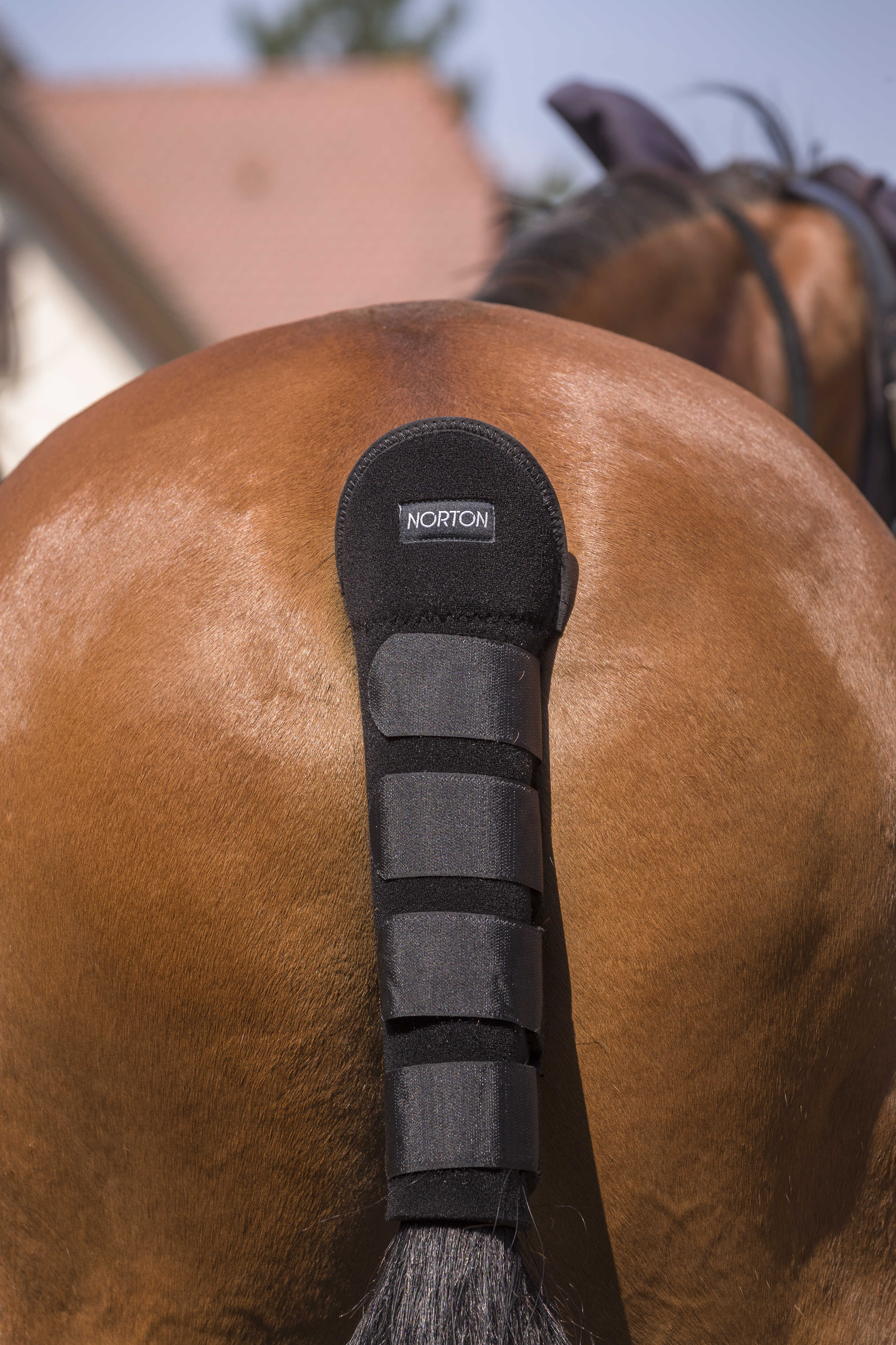 NORTON tail guard - High Protection