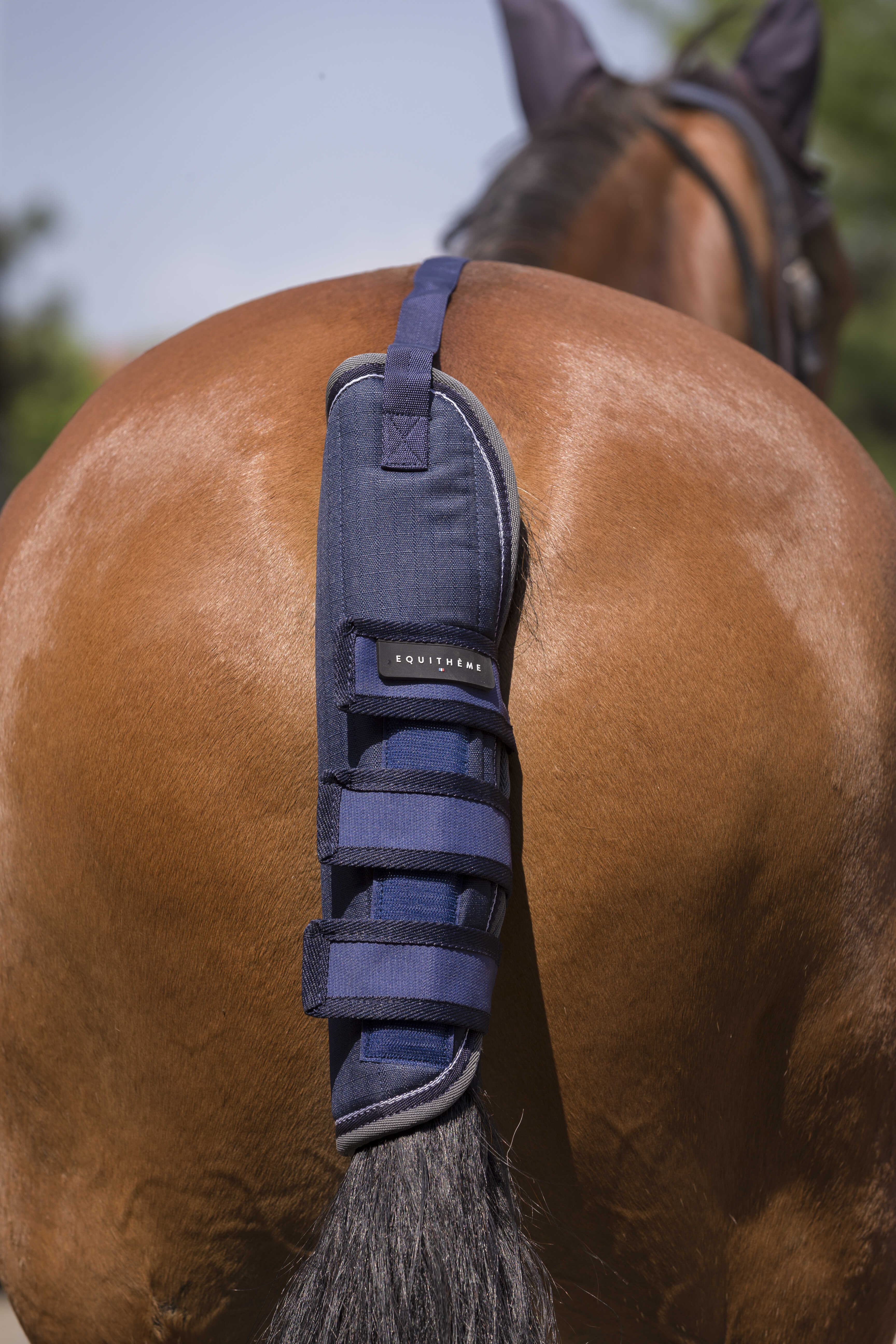 EQUITHÃˆME - TYREX 600D - Tail Guard