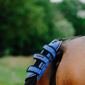 EQUITHÃˆME - TYREX Aisance 1200D - Tail guard