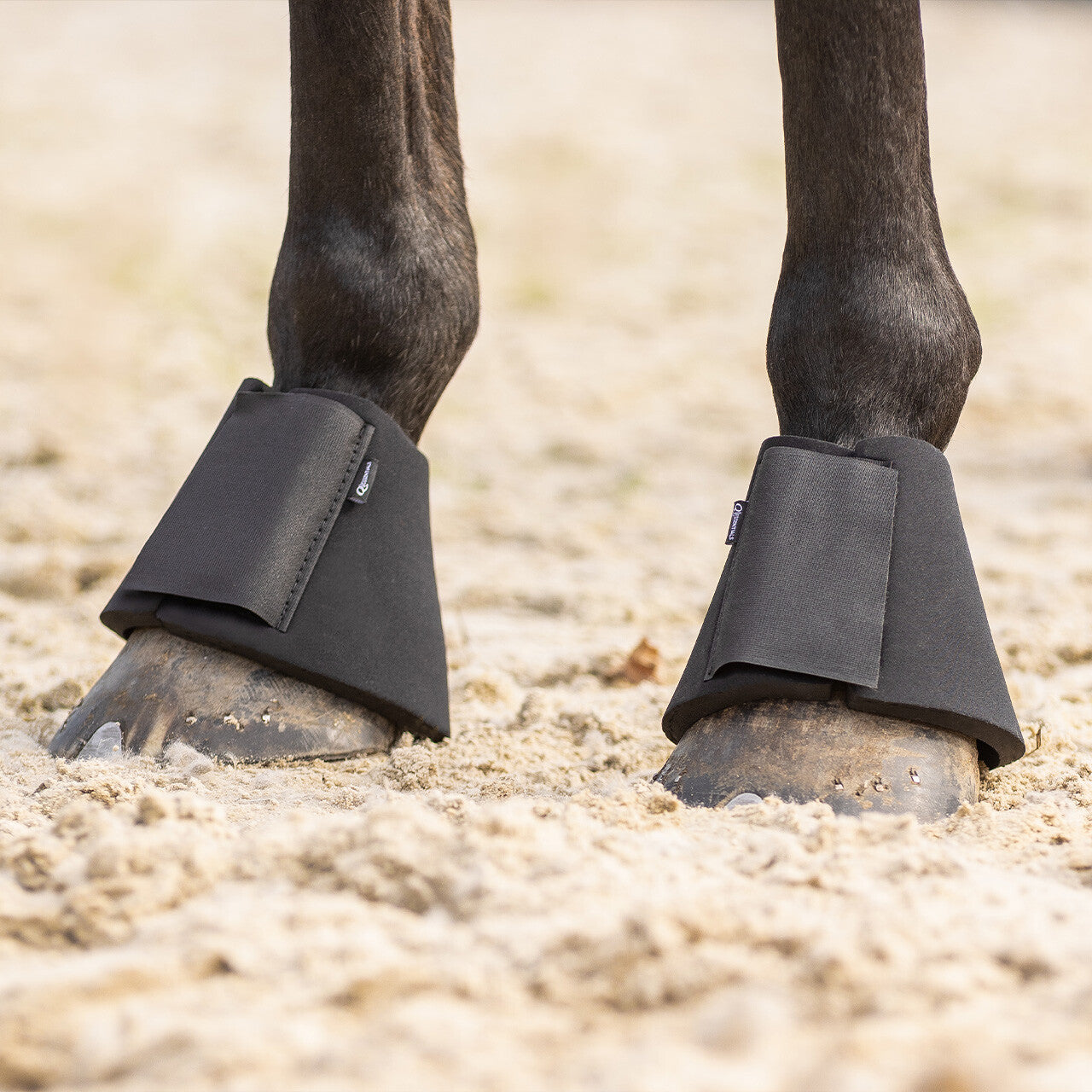 Bell boots neoprene