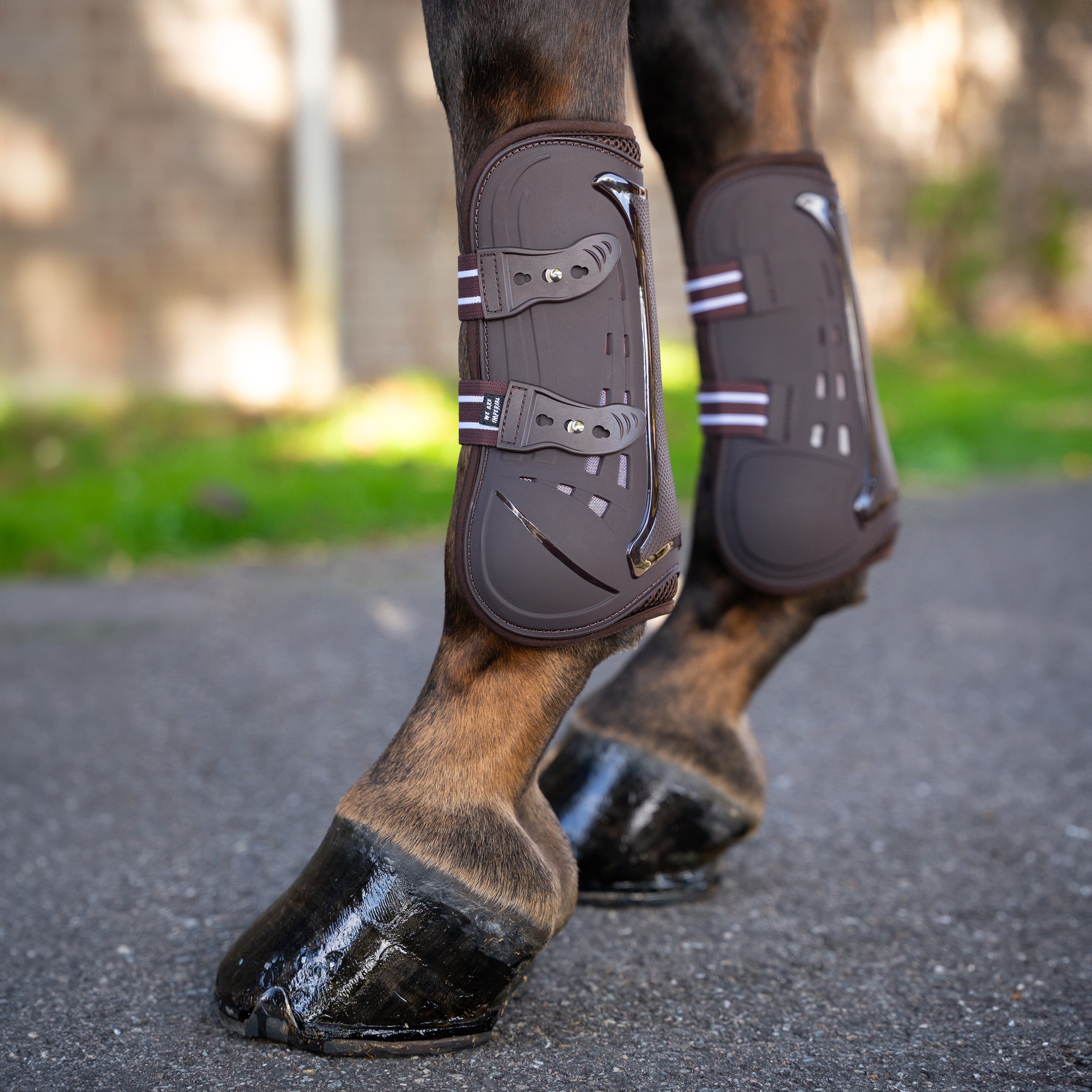 Tendon boots Pro mesh IRH