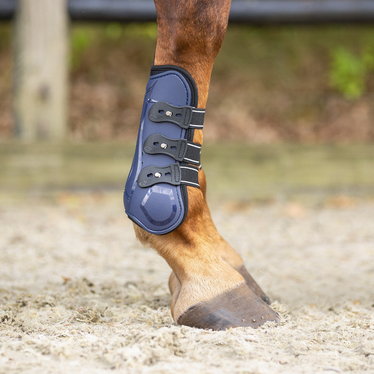 Tendon boots Champion