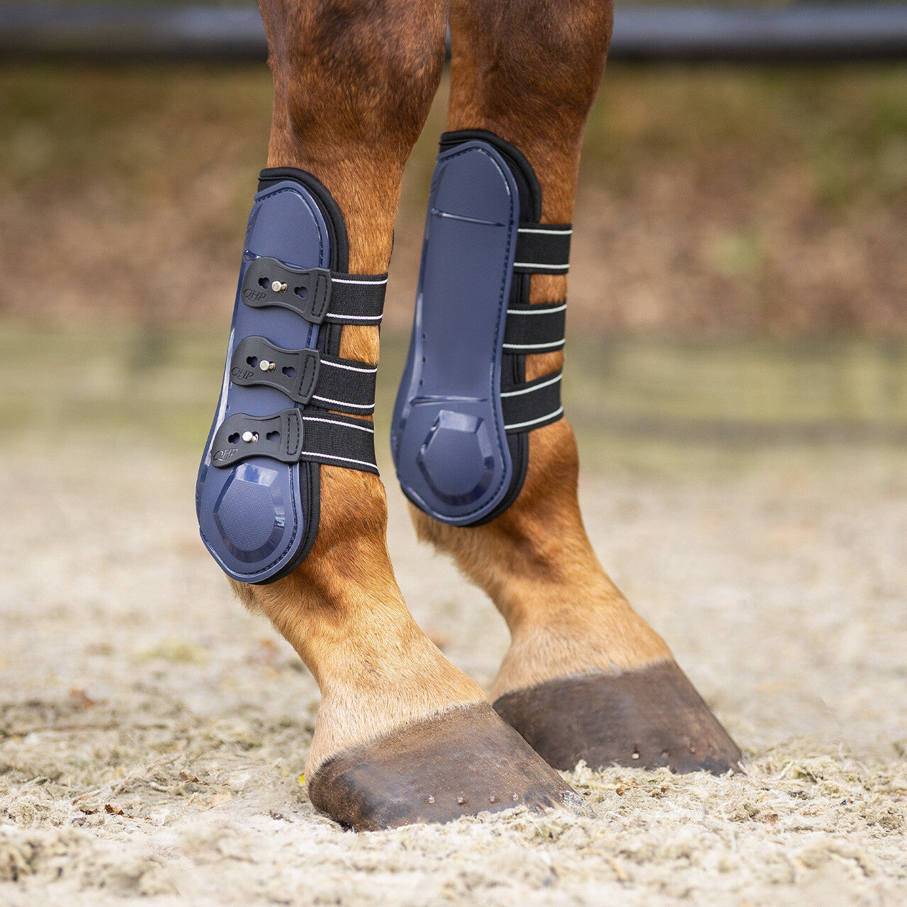 Tendon boots Champion