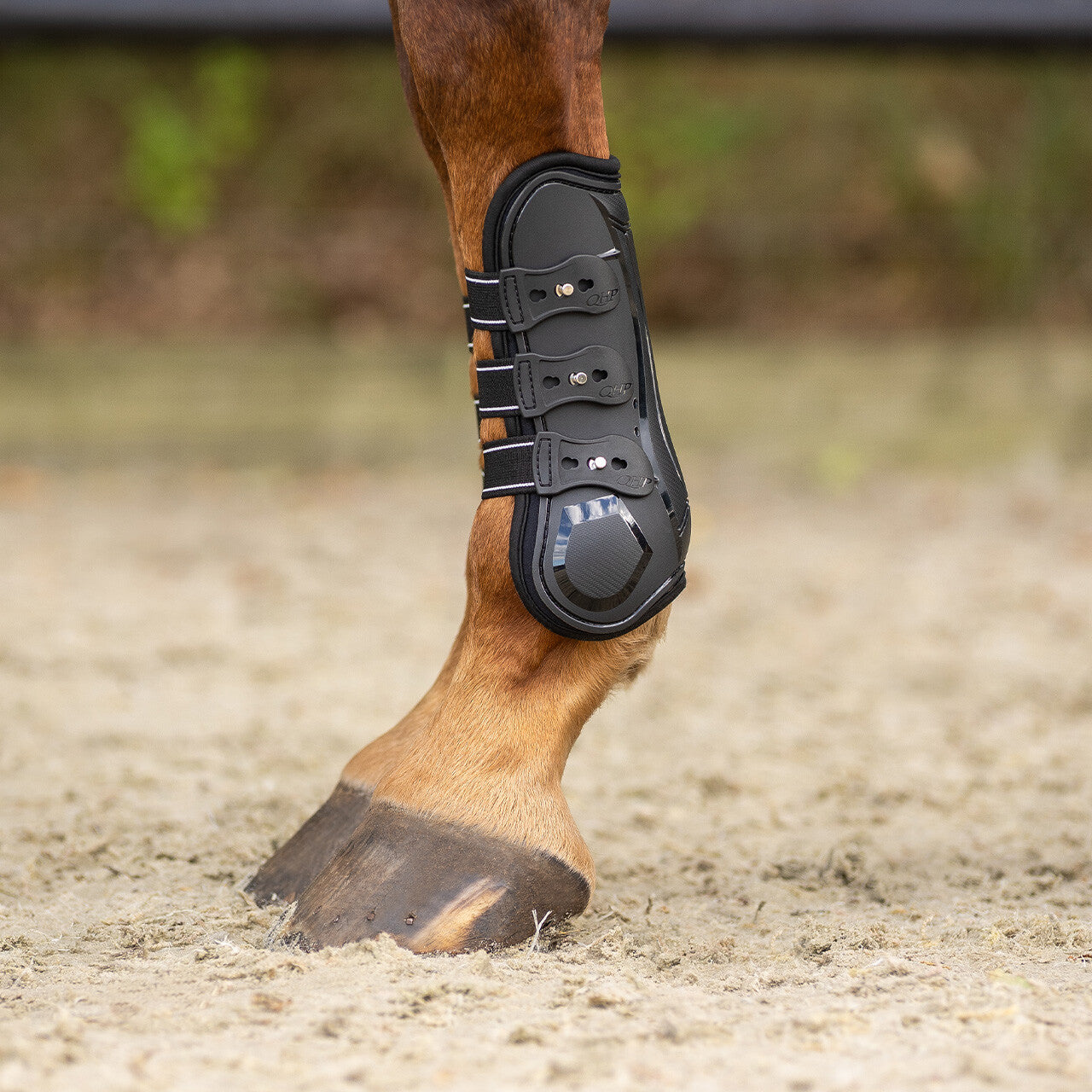 Tendon boots Champion