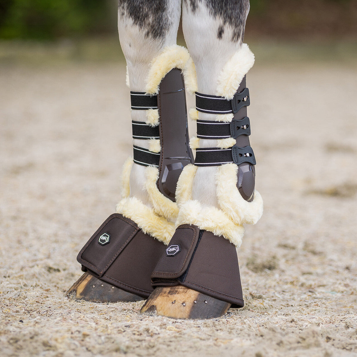 Tendon boots Ontario