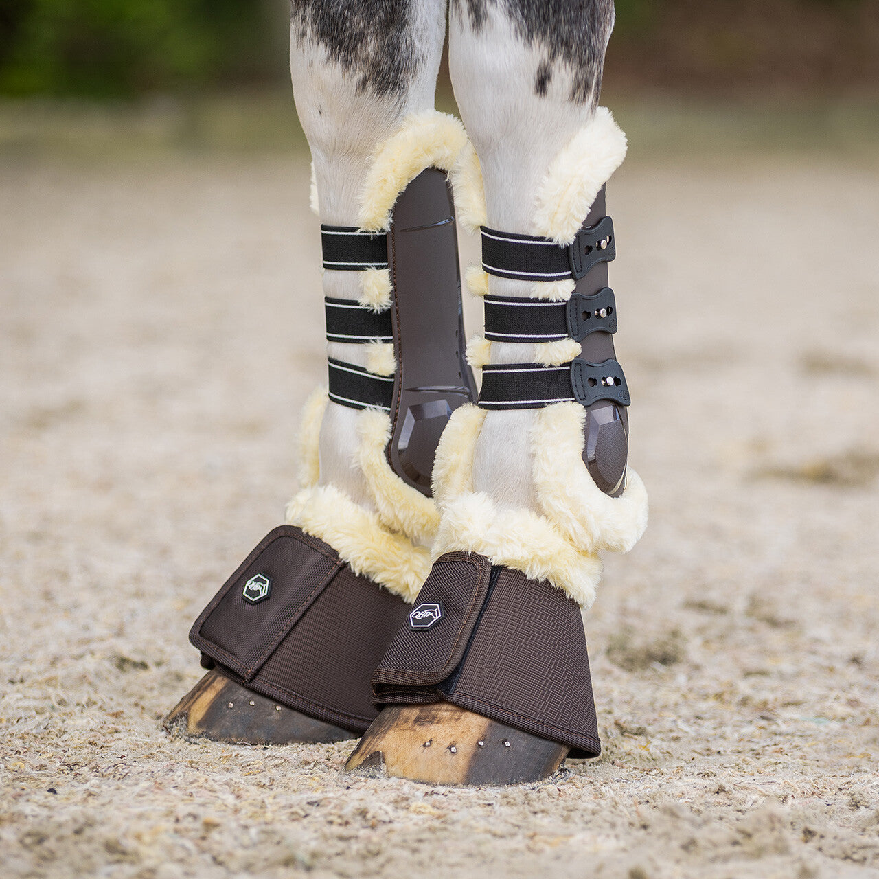 Bell boots Ontario