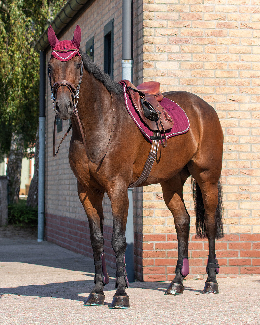 Tendon boots set