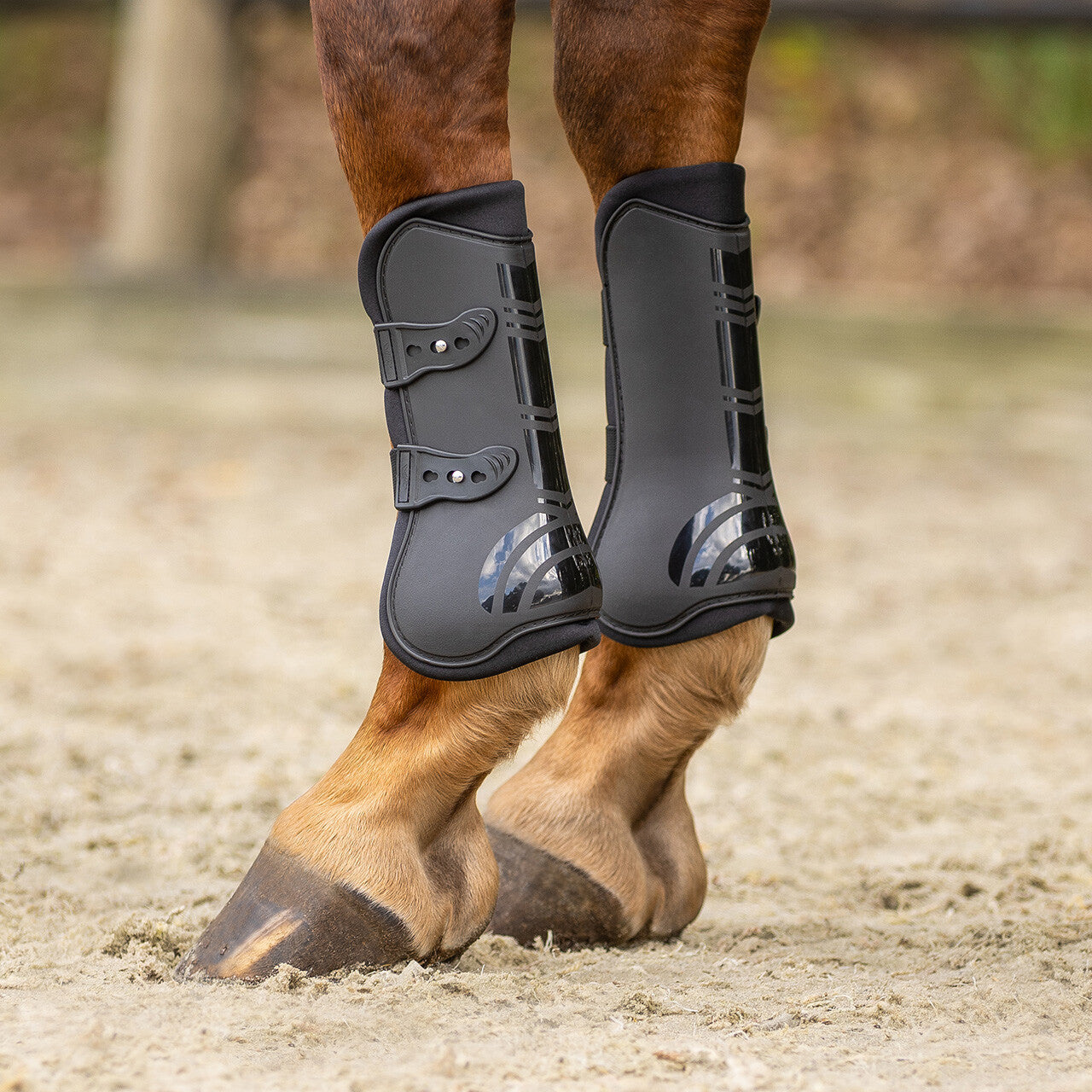 Tendon boots set