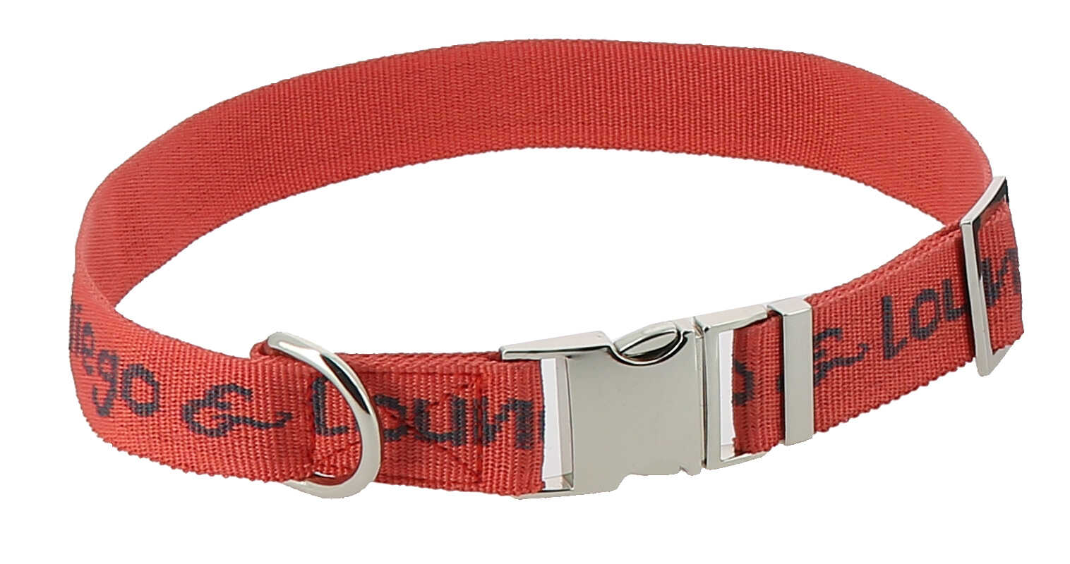 DIEGO   LOUNA Nylon collar