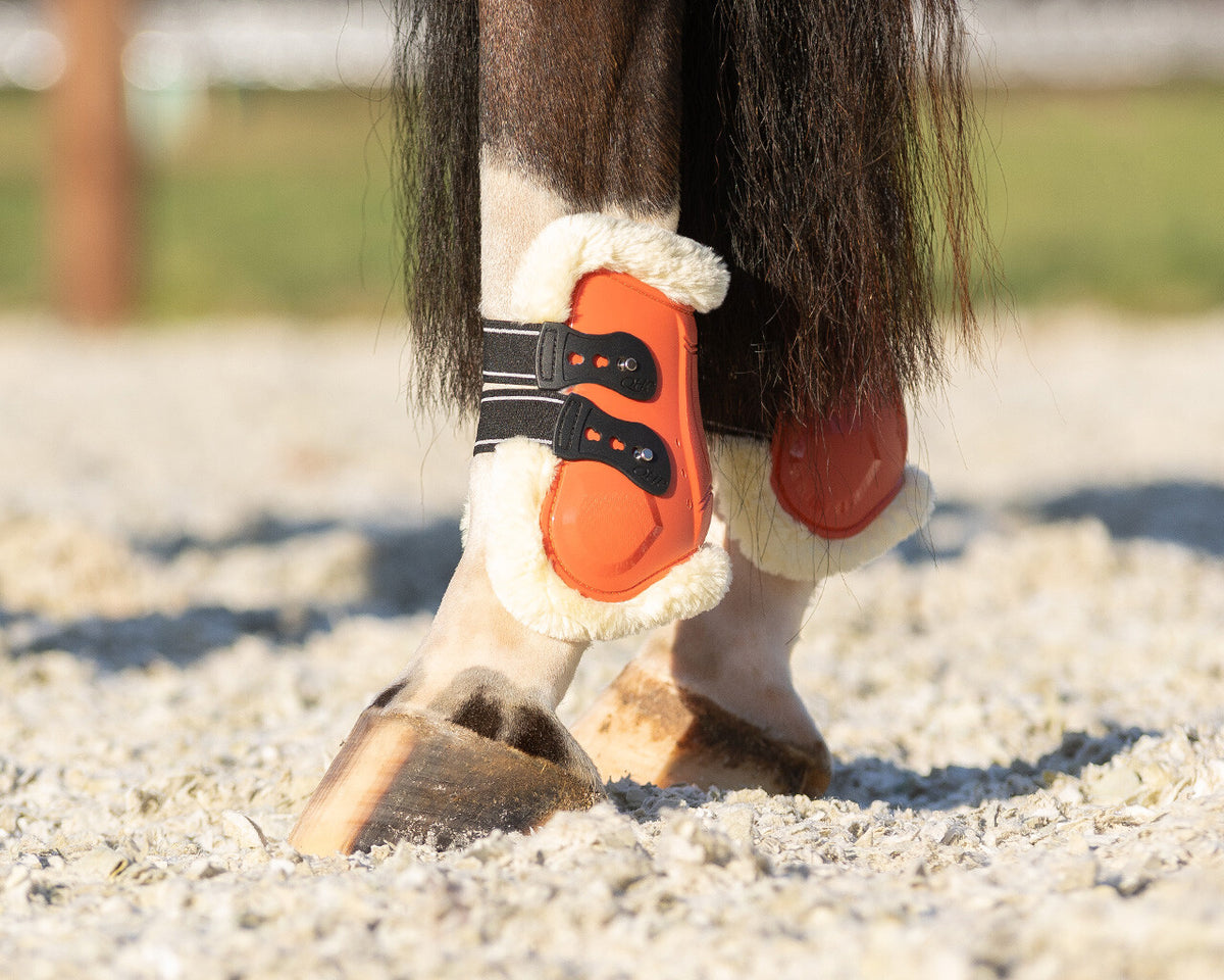Fetlock boots Menton