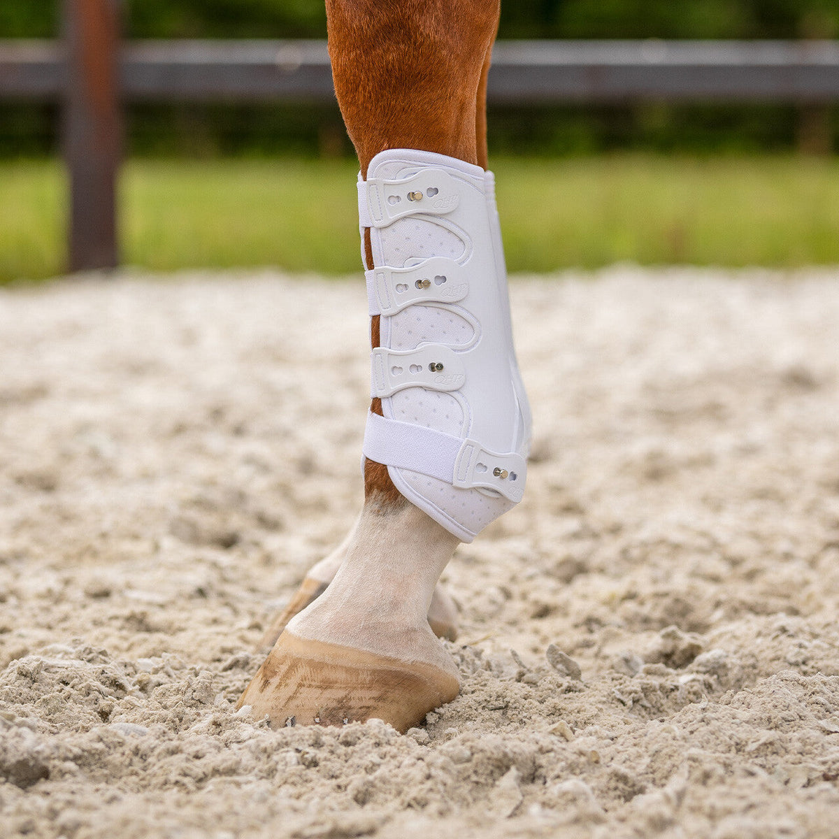Leg protection front Champion