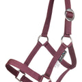 Head collar for Minishetty 3100 wine red / pcs.