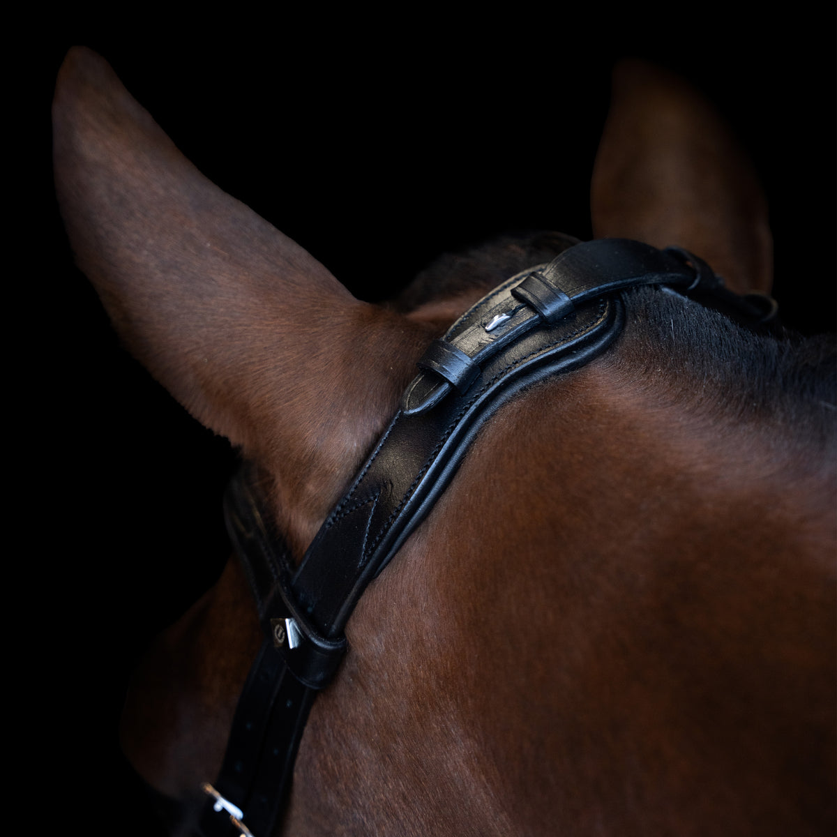 Bridle IRH with ergonomic drop noseband/flash