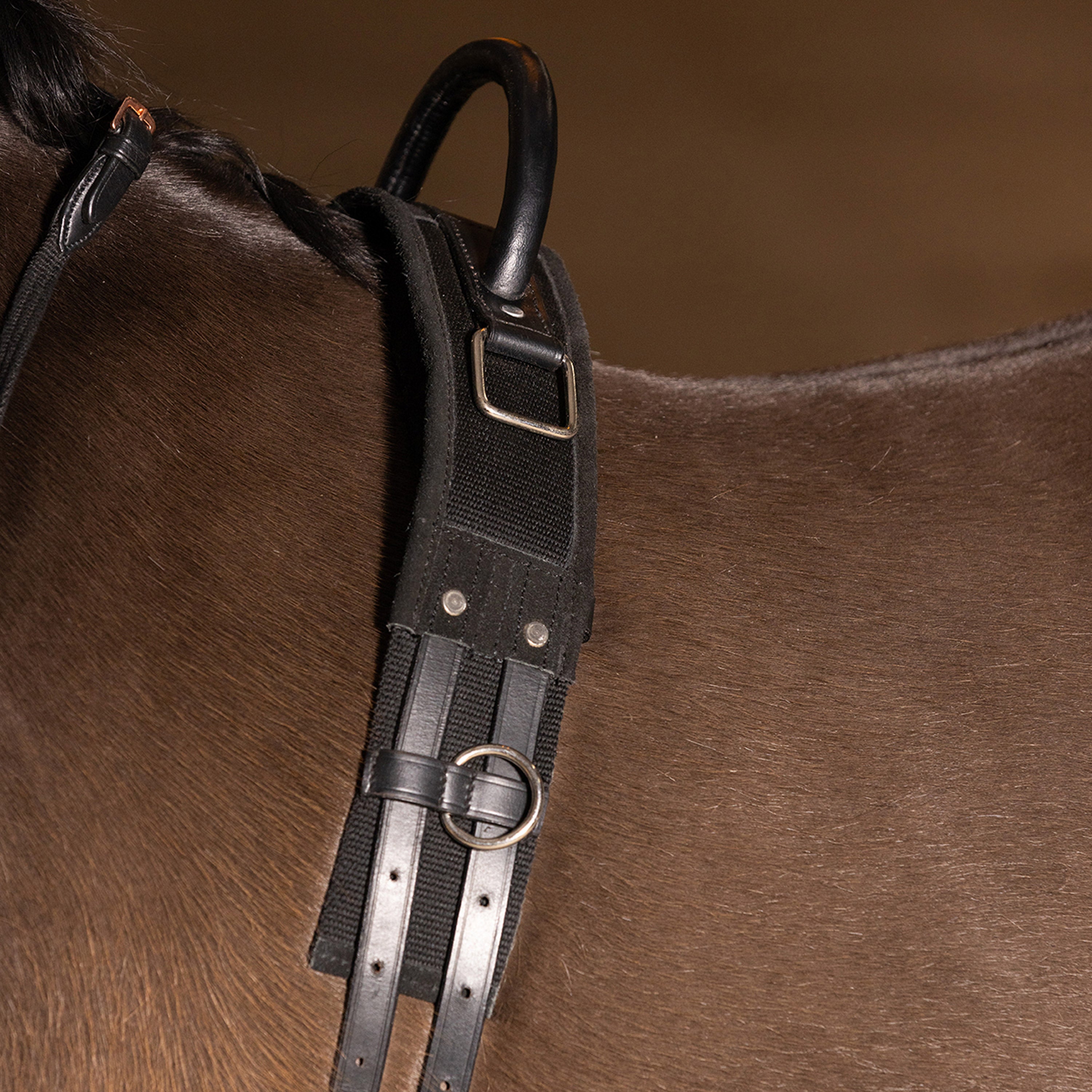 Lunging girth IRHVito