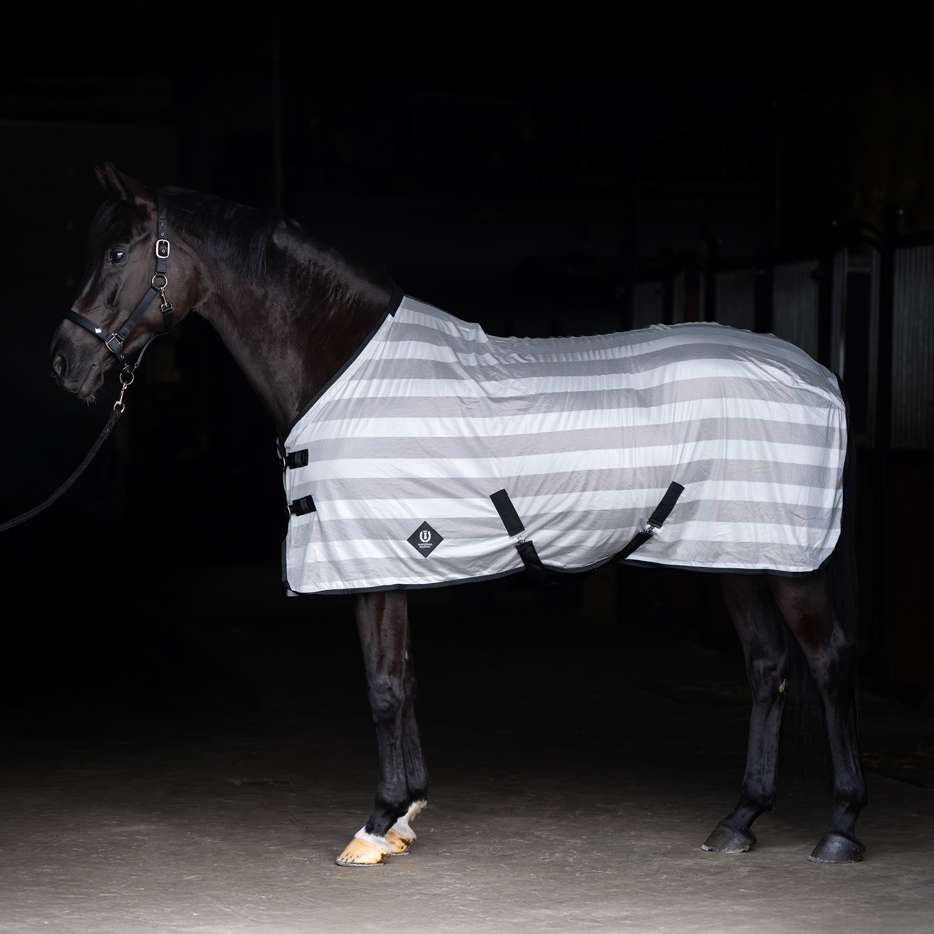 Fly blanket IRHStripe