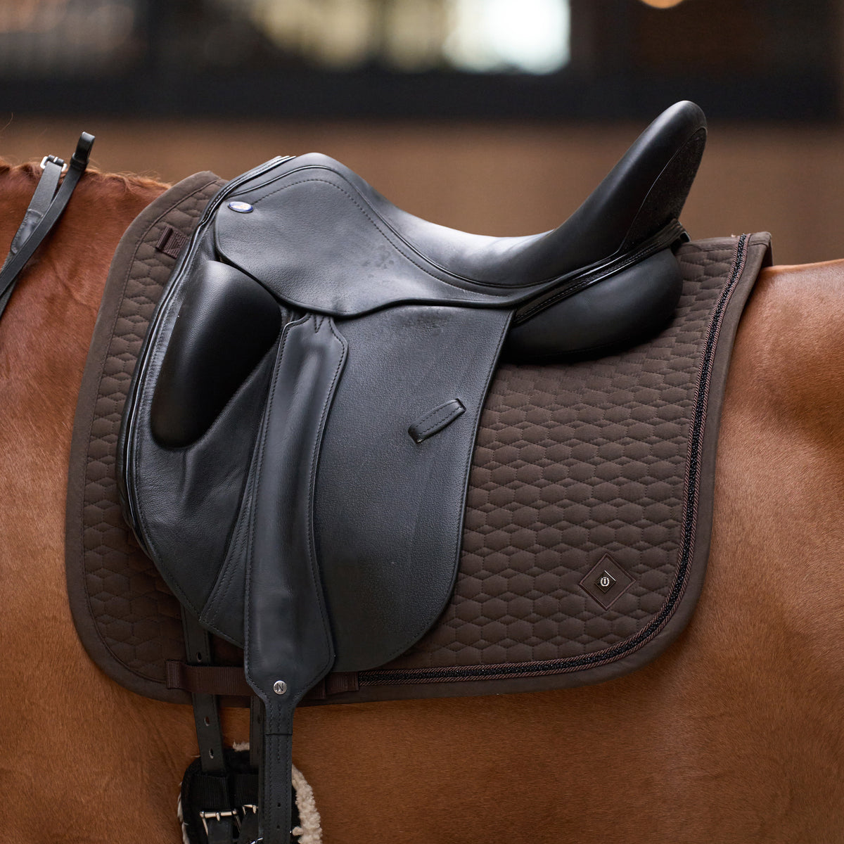 Saddlepad IRHMaria DR